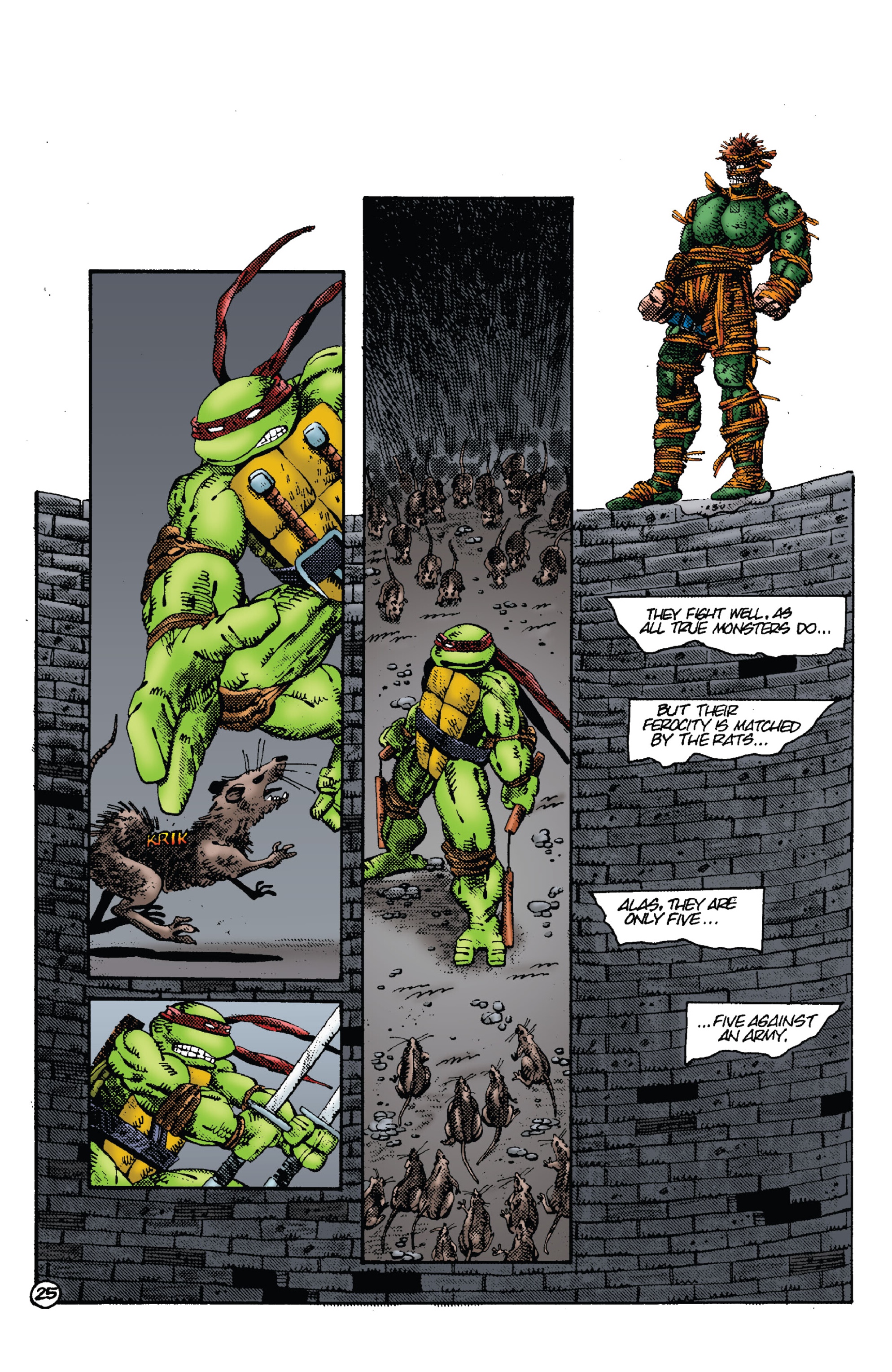 Read online Teenage Mutant Ninja Turtles: Best Of comic -  Issue # Best of Rat King - 29
