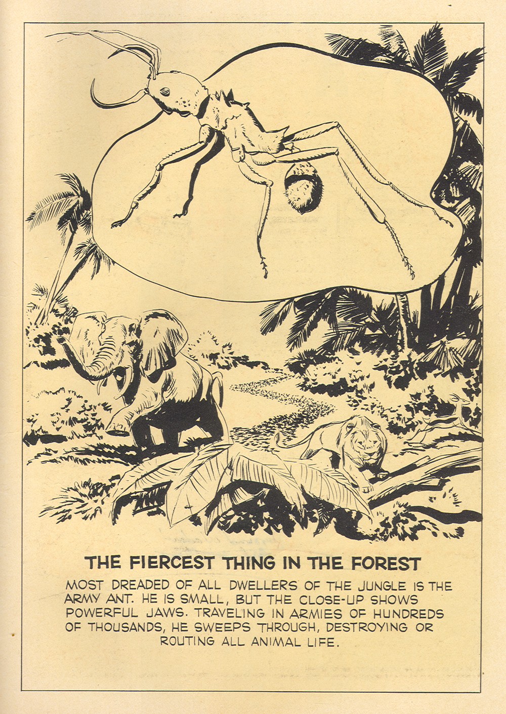 Read online Tarzan (1948) comic -  Issue #130 - 35