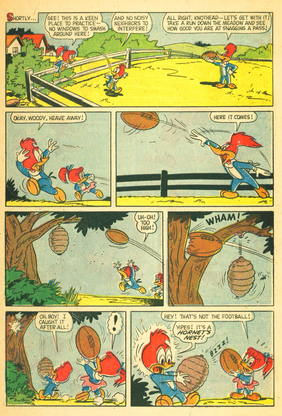 Read online Walter Lantz Woody Woodpecker (1952) comic -  Issue #51 - 31