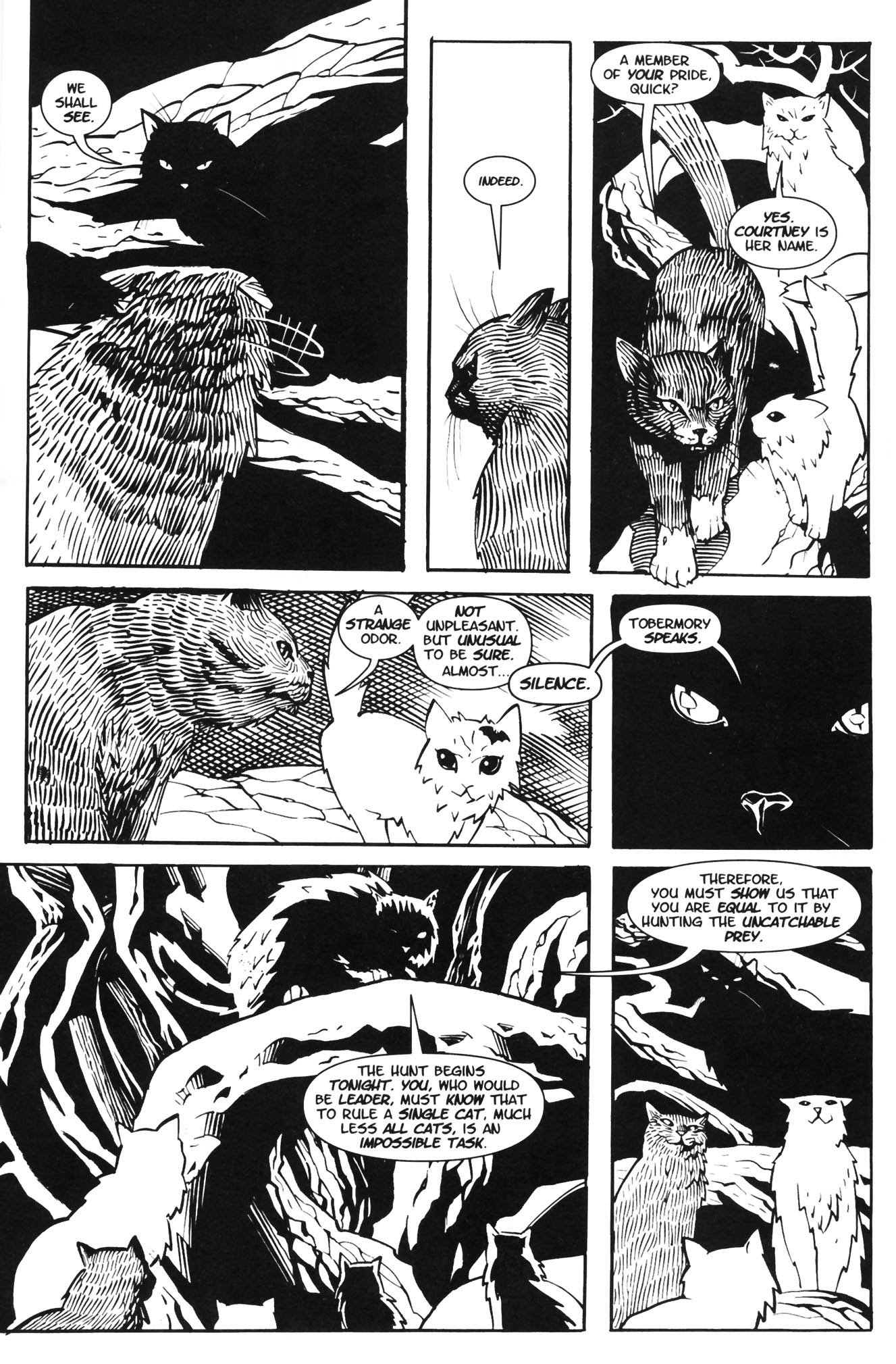 Read online Courtney Crumrin and the Coven of Mystics comic -  Issue #2 - 15