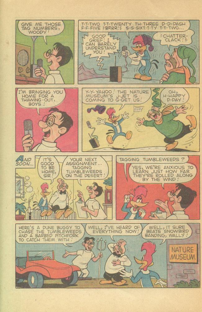 Read online Walter Lantz Woody Woodpecker (1962) comic -  Issue #120 - 22