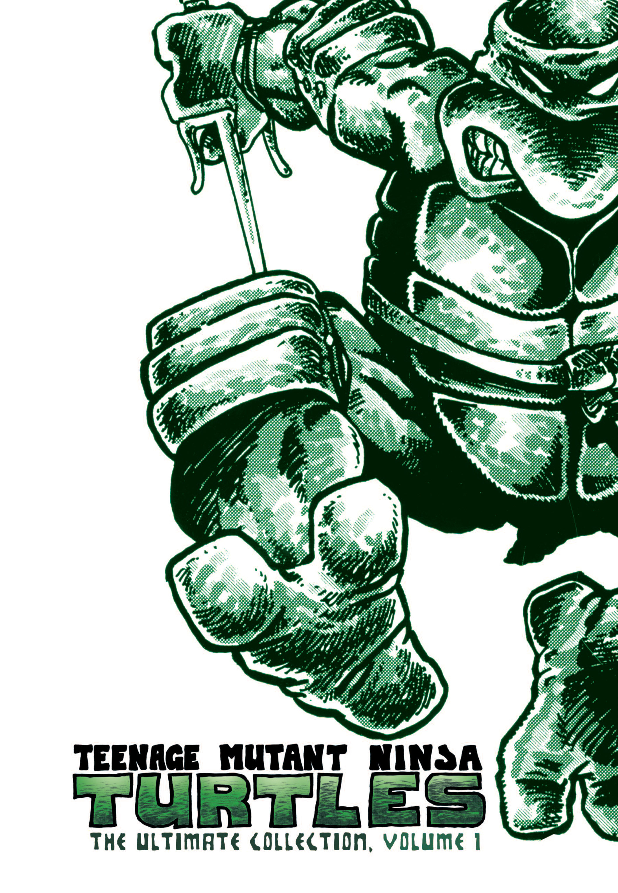 Read online Teenage Mutant Ninja Turtles: The Ultimate Collection comic -  Issue # TPB 1 (Part 1) - 2