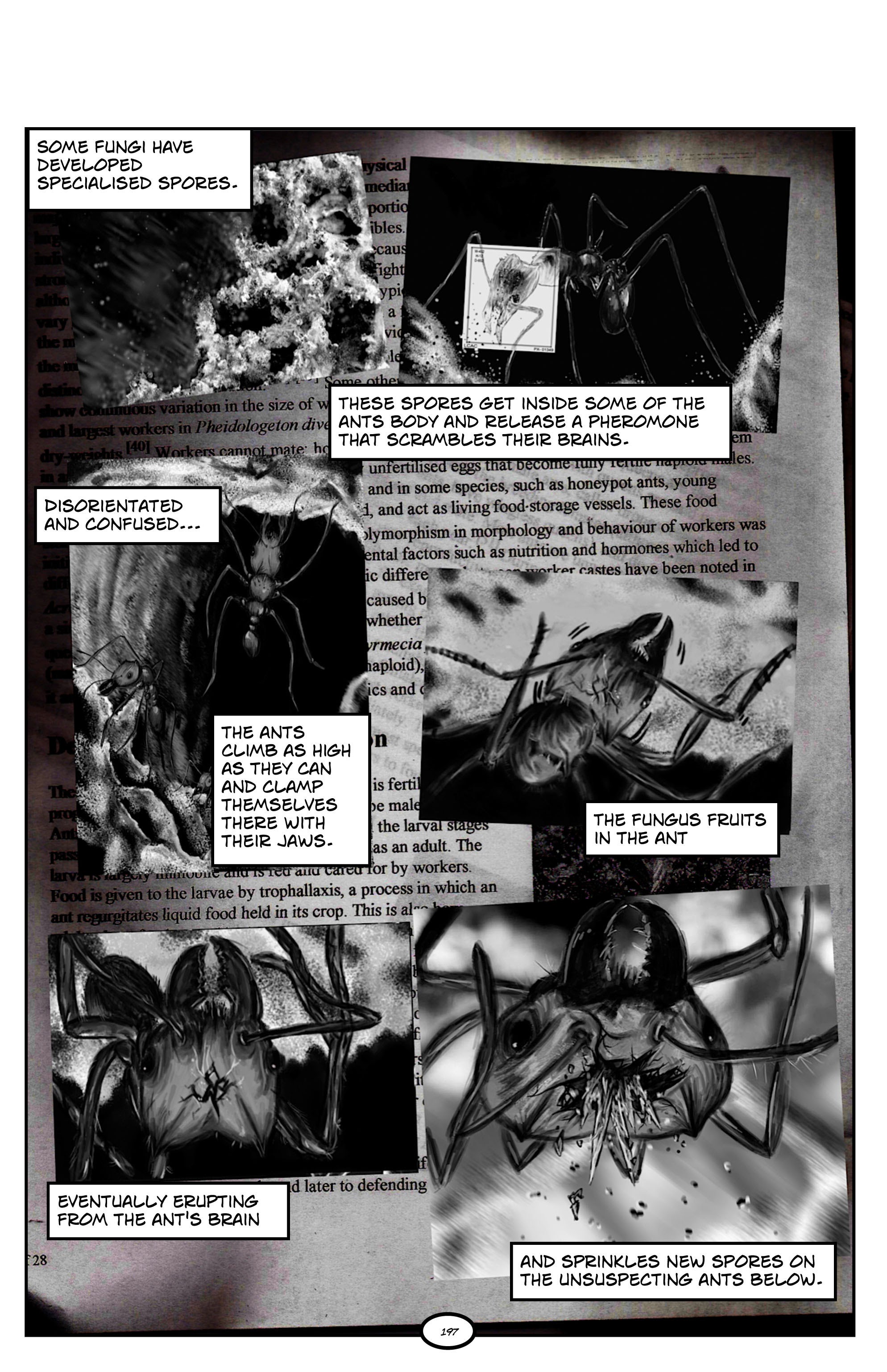 Read online Twisted Dark comic -  Issue # TPB 1 (Part 2) - 99