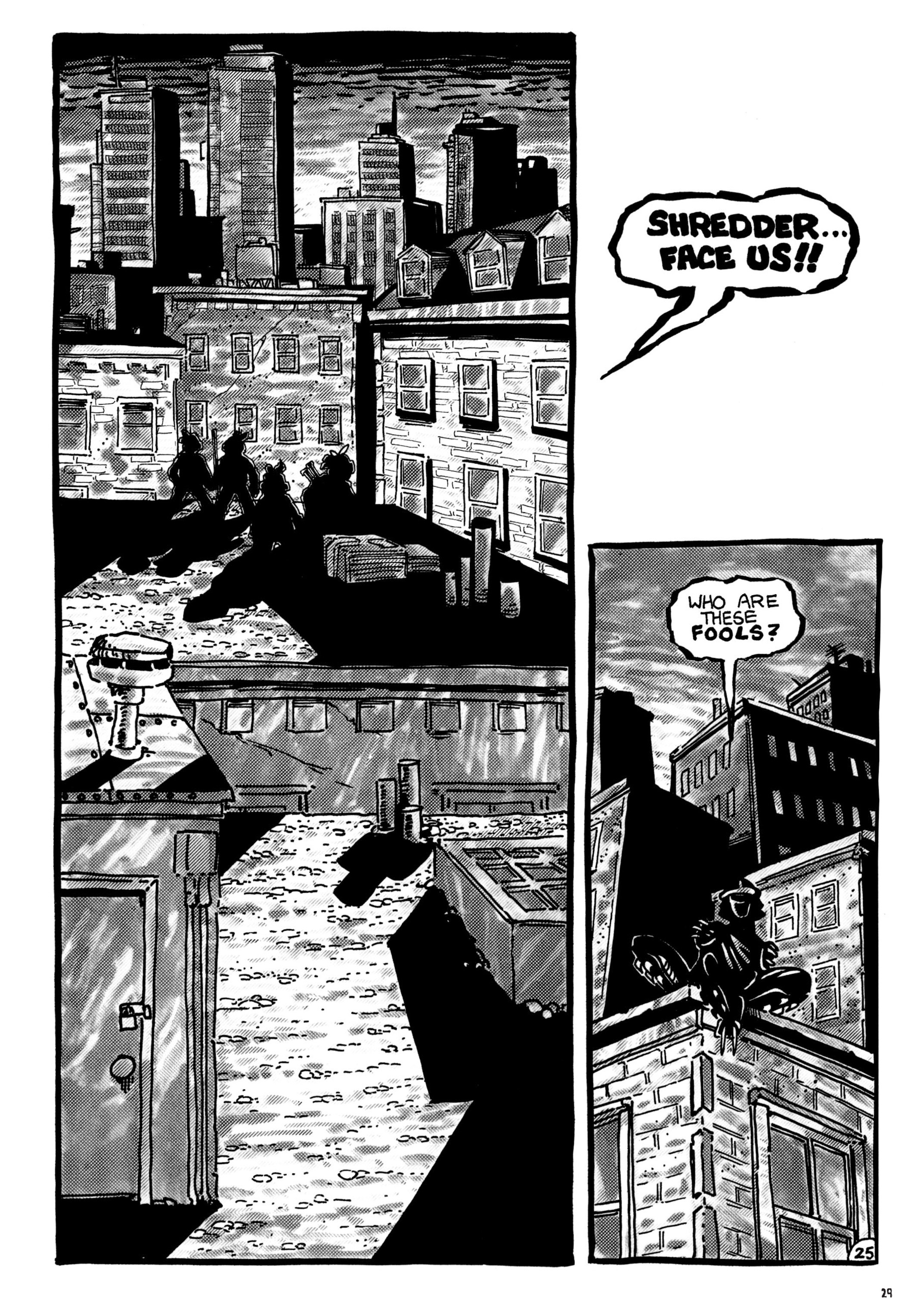 Read online Teenage Mutant Ninja Turtles: The Ultimate Collection comic -  Issue # TPB 1 (Part 1) - 29