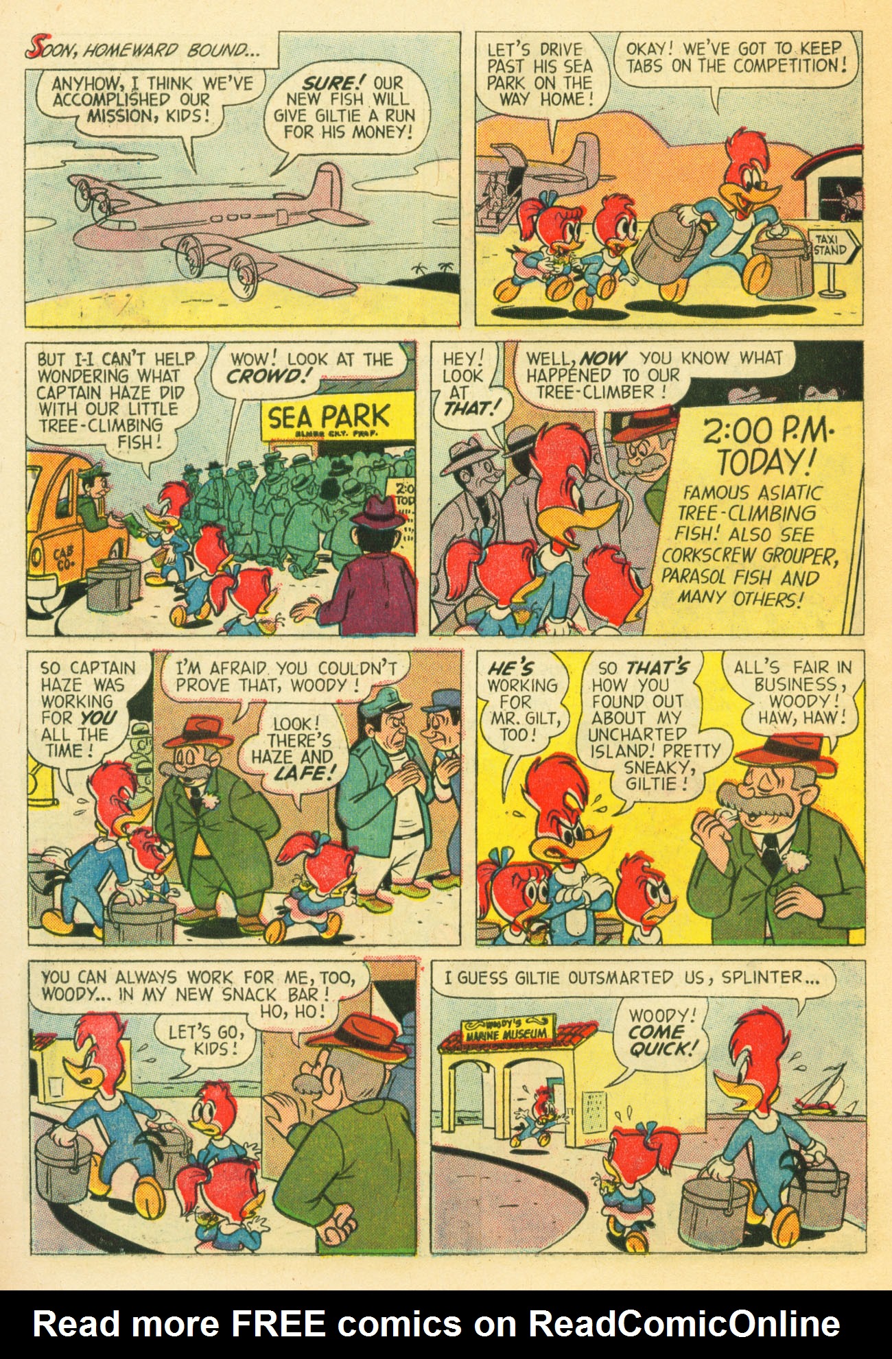 Read online Walter Lantz Woody Woodpecker (1952) comic -  Issue #57 - 14