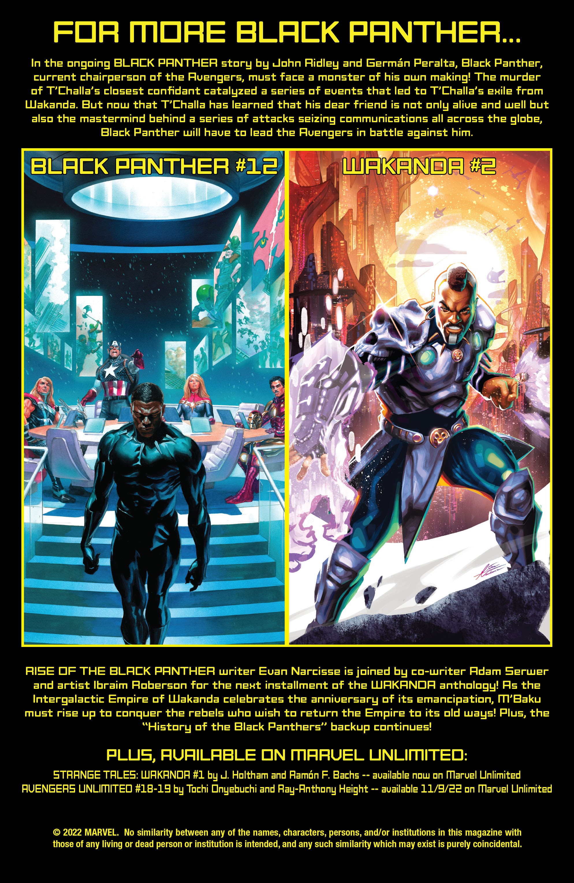 Read online Black Panther: Unconquered comic -  Issue #1 - 22