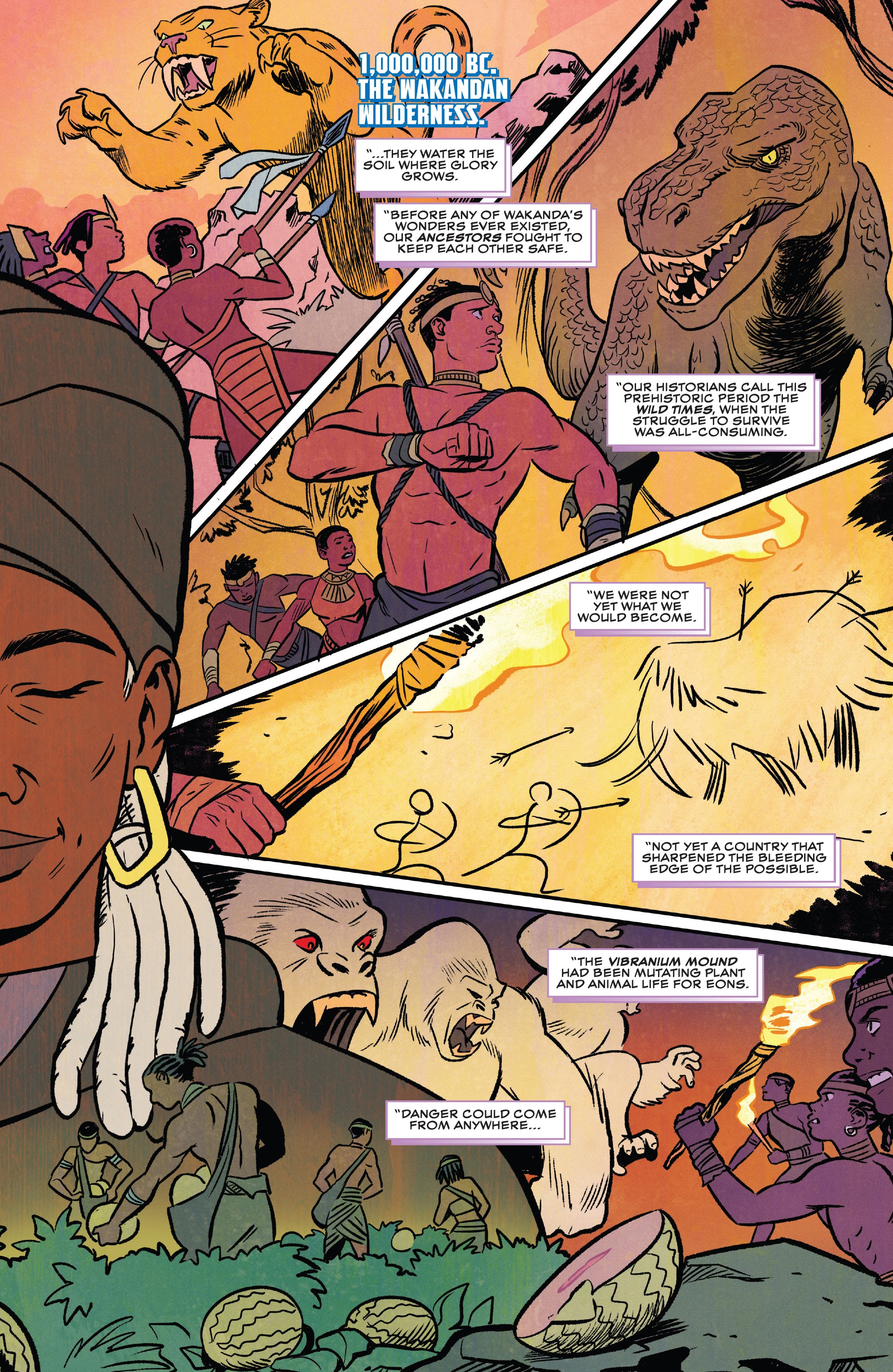 Read online Wakanda comic -  Issue #1 - 25