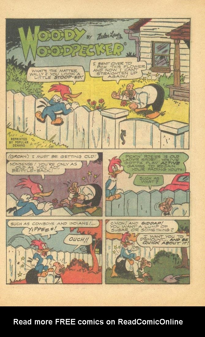 Read online Walter Lantz Woody Woodpecker (1962) comic -  Issue #85 - 25