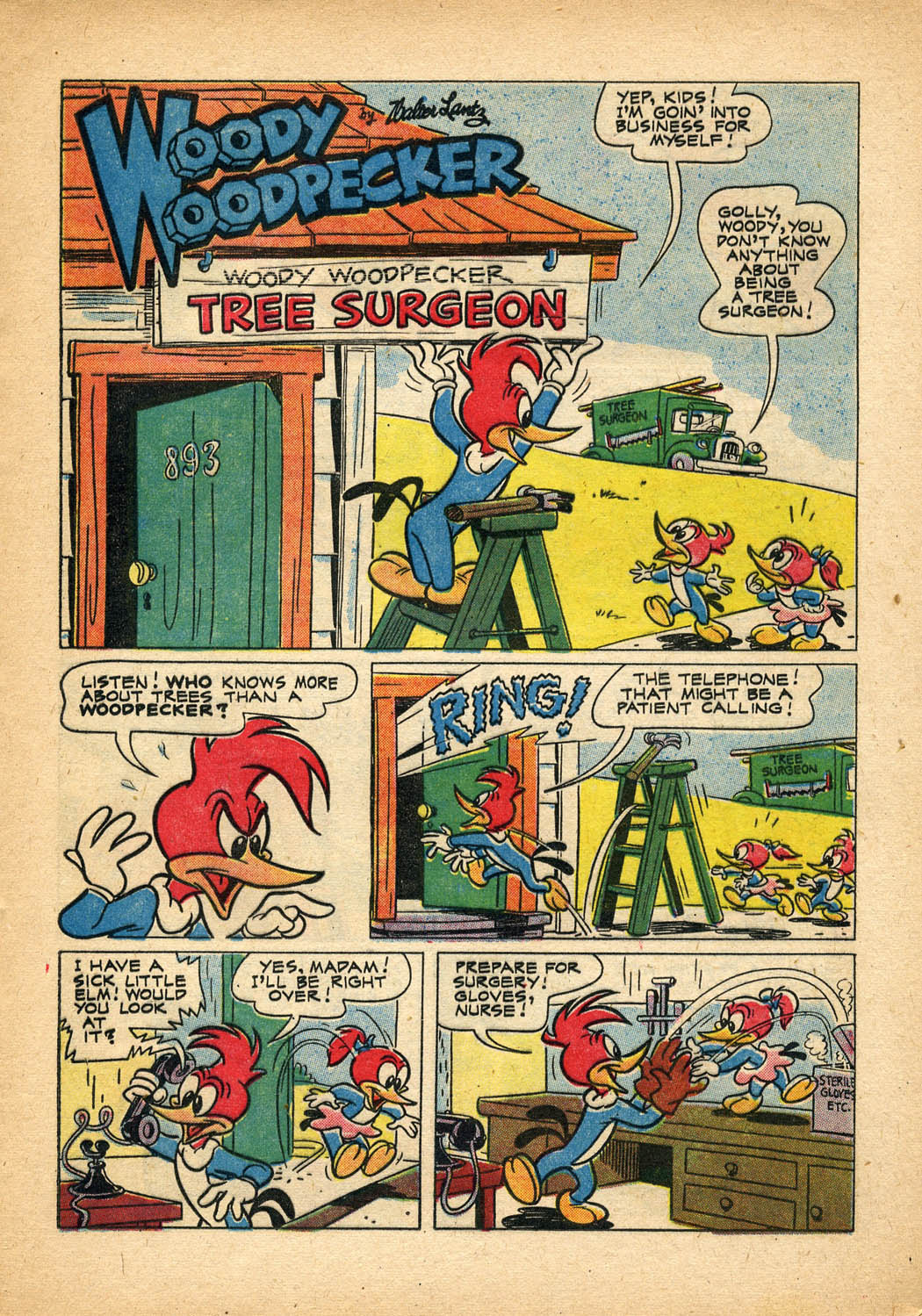 Read online Walter Lantz Woody Woodpecker (1952) comic -  Issue #27 - 13