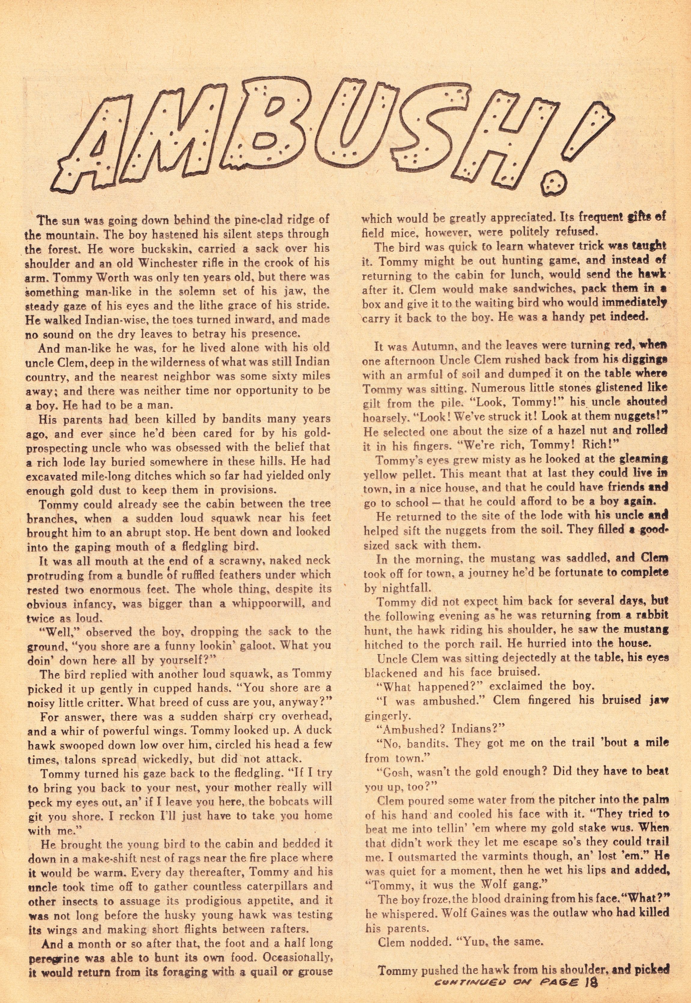 Read online Swift Arrow's Gunfighters comic -  Issue #4 - 13