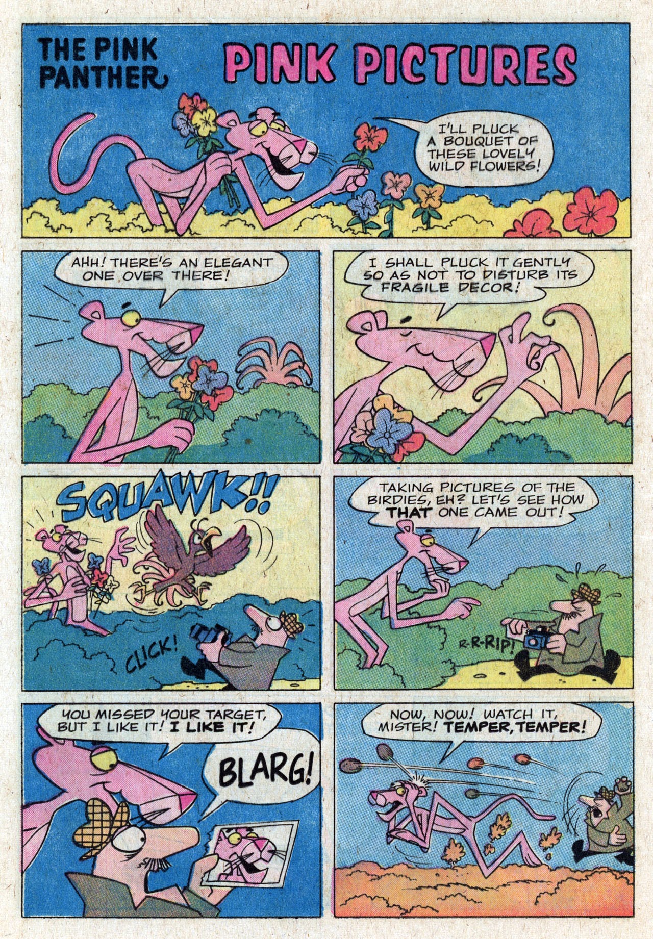 Read online The Pink Panther (1971) comic -  Issue #22 - 12