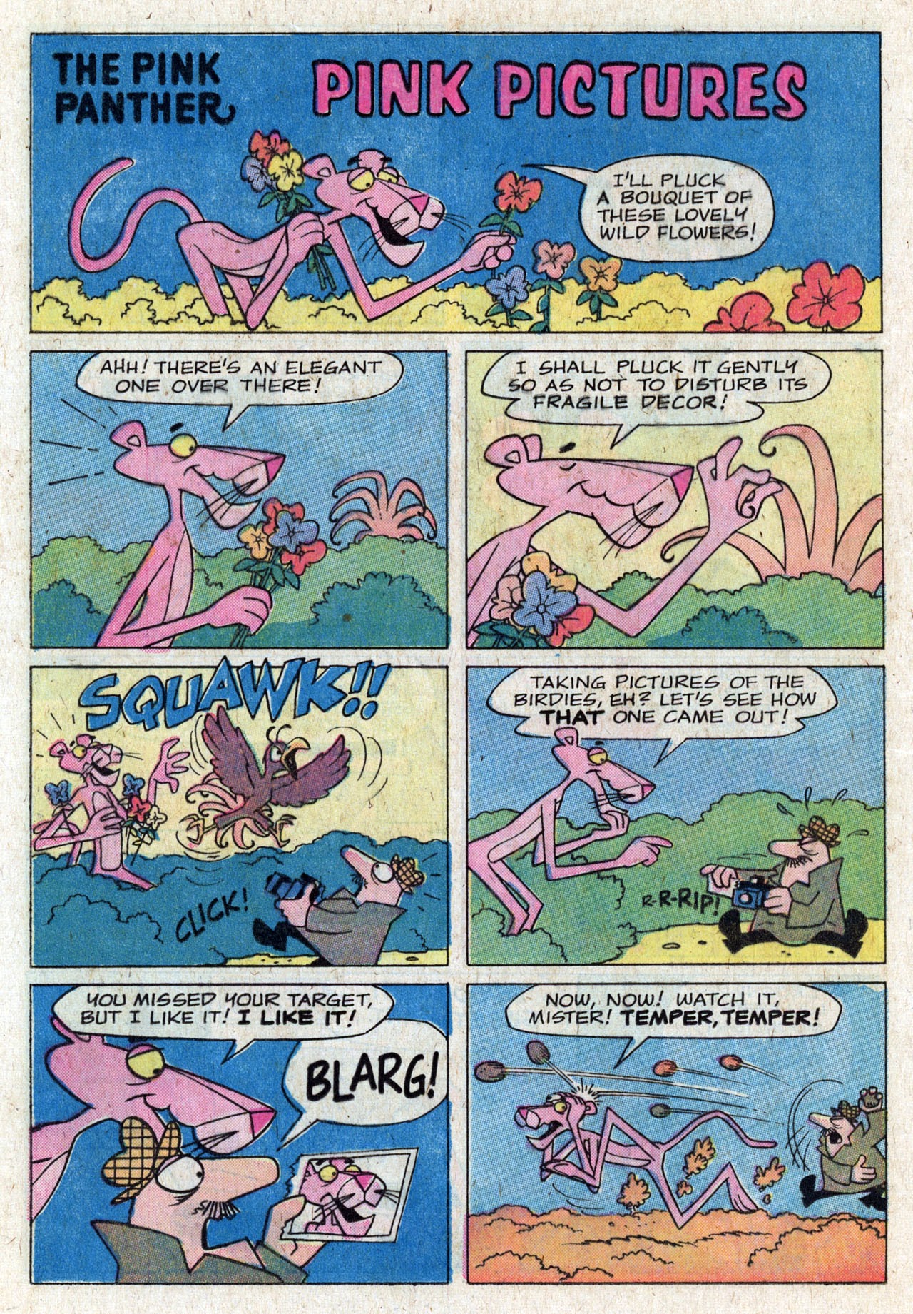 Read online The Pink Panther (1971) comic -  Issue #22 - 12