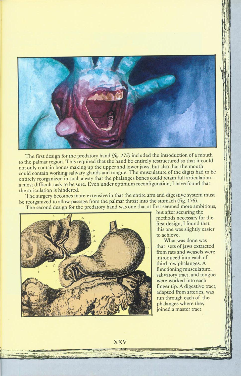 Read online Clive Barker's Book of the Damned: A Hellraiser Companion comic -  Issue #3 - 15