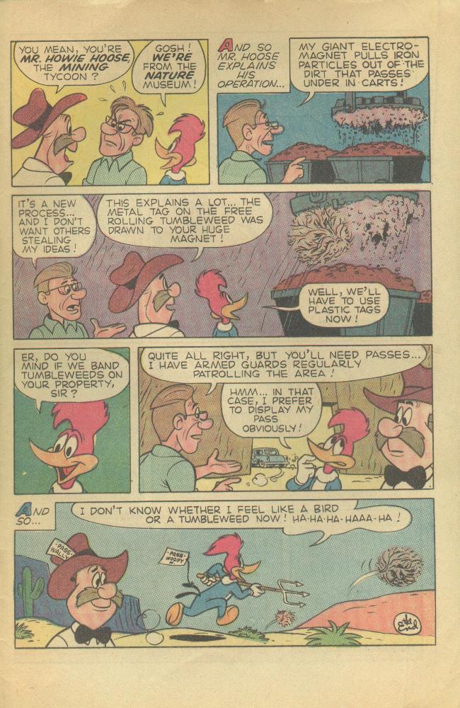 Read online Walter Lantz Woody Woodpecker (1962) comic -  Issue #120 - 26