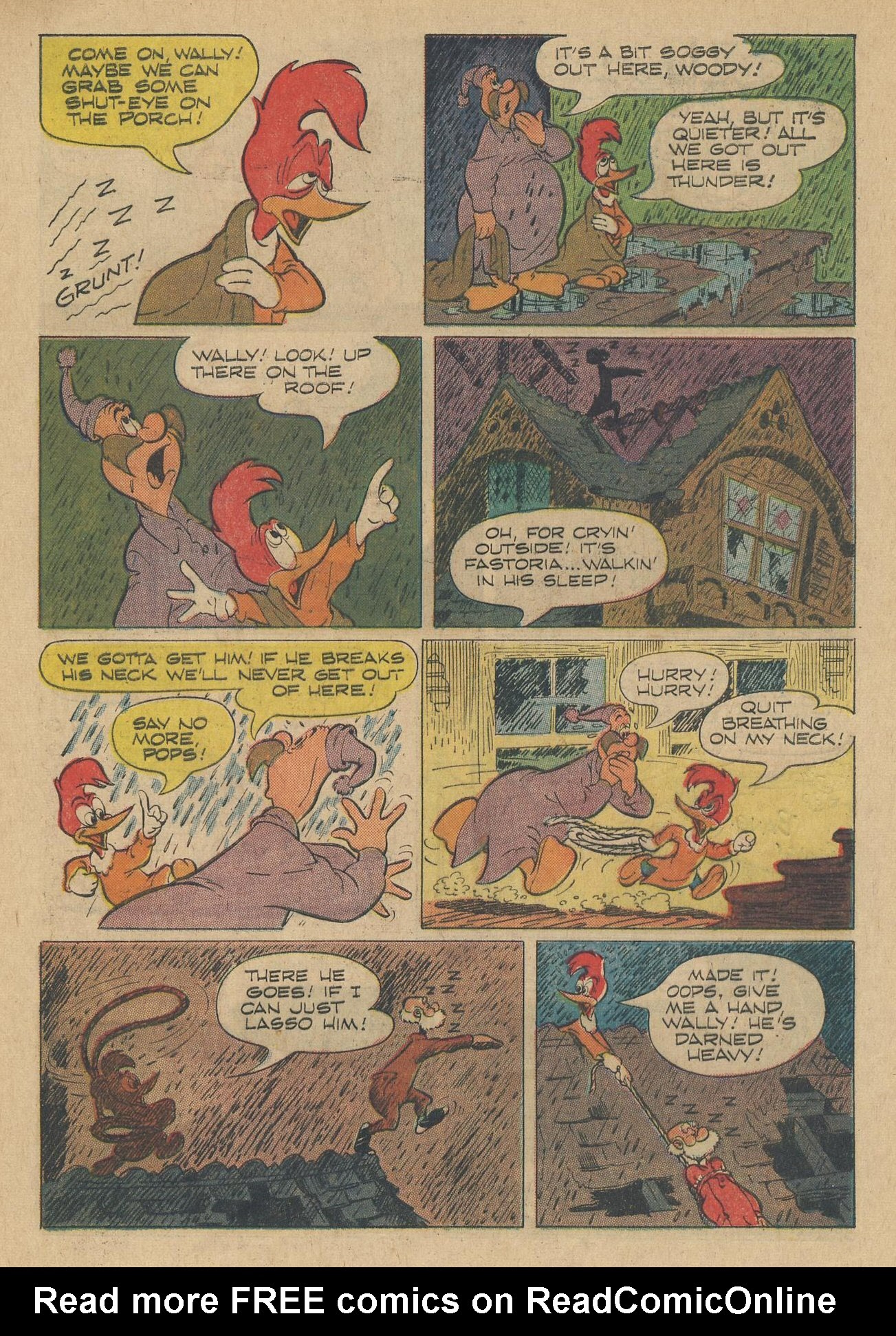 Read online Walter Lantz Woody Woodpecker (1962) comic -  Issue #83 - 29