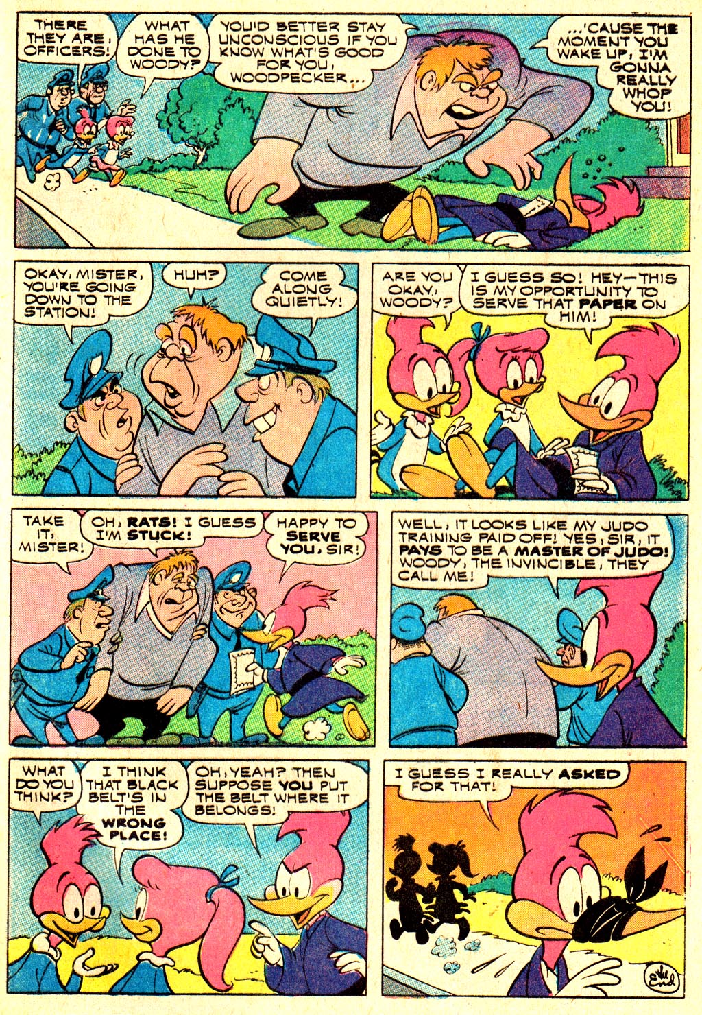 Read online Walter Lantz Woody Woodpecker (1962) comic -  Issue #132 - 26
