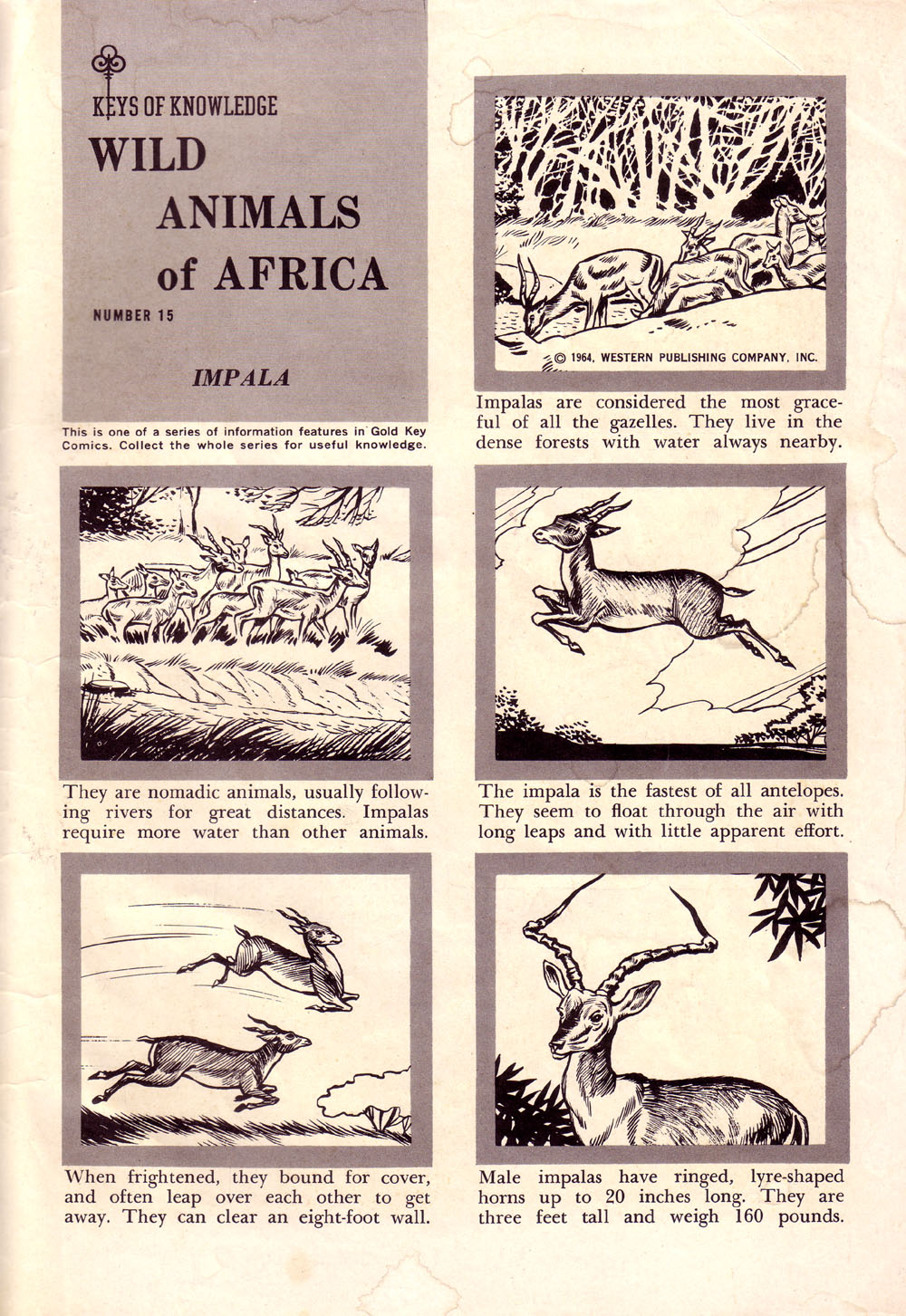 Read online Korak, Son of Tarzan (1964) comic -  Issue #5 - 35