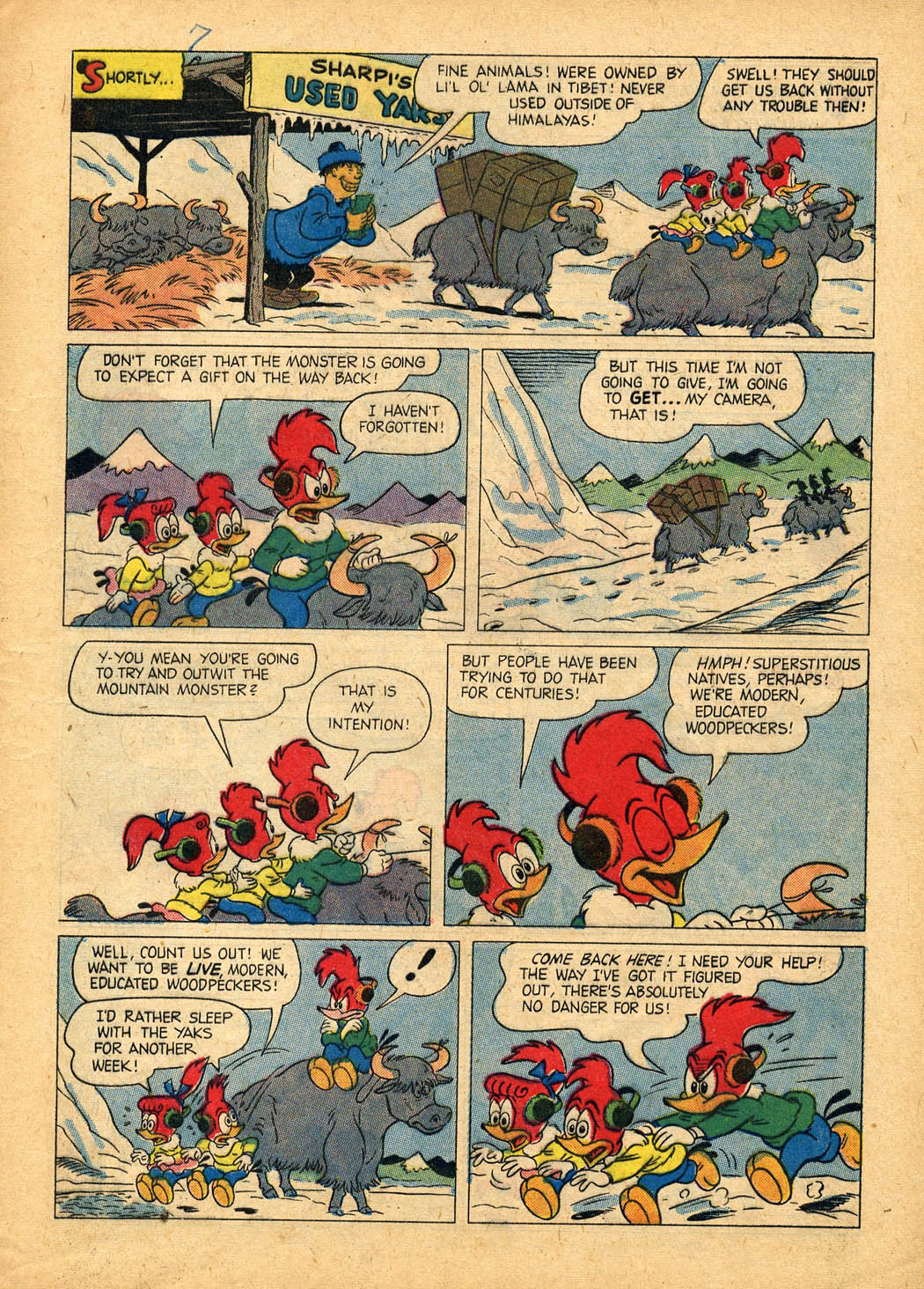 Read online Walter Lantz Woody Woodpecker (1952) comic -  Issue #46 - 9