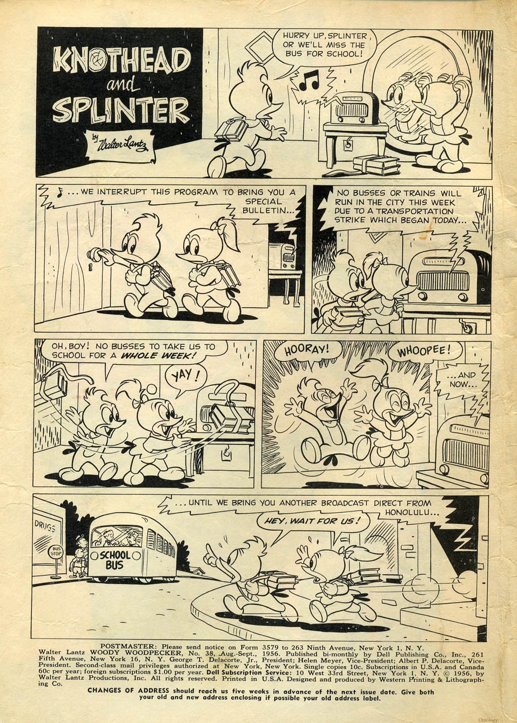 Read online Walter Lantz Woody Woodpecker (1952) comic -  Issue #38 - 2