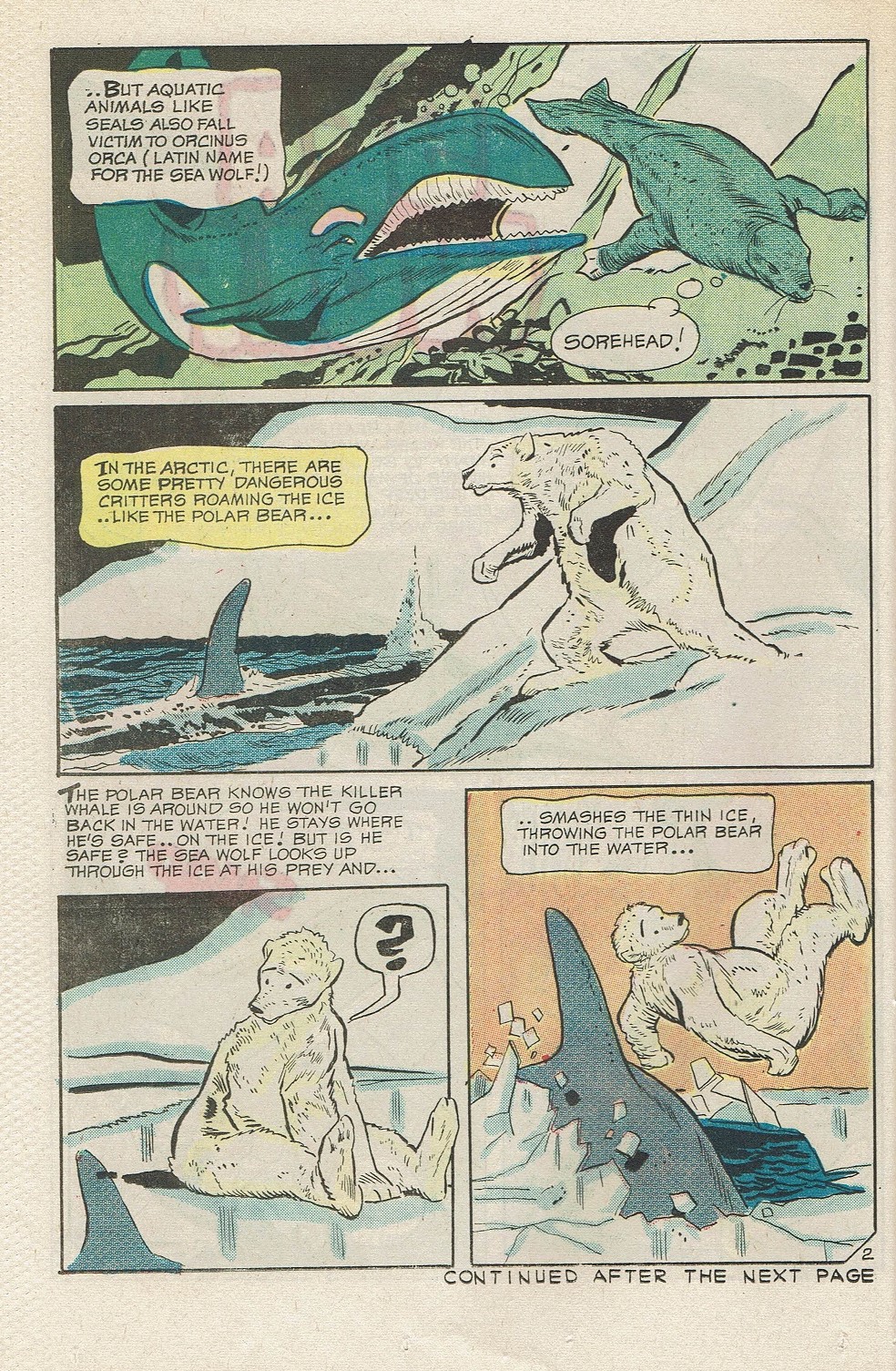 Read online Top Cat (1970) comic -  Issue #5 - 22
