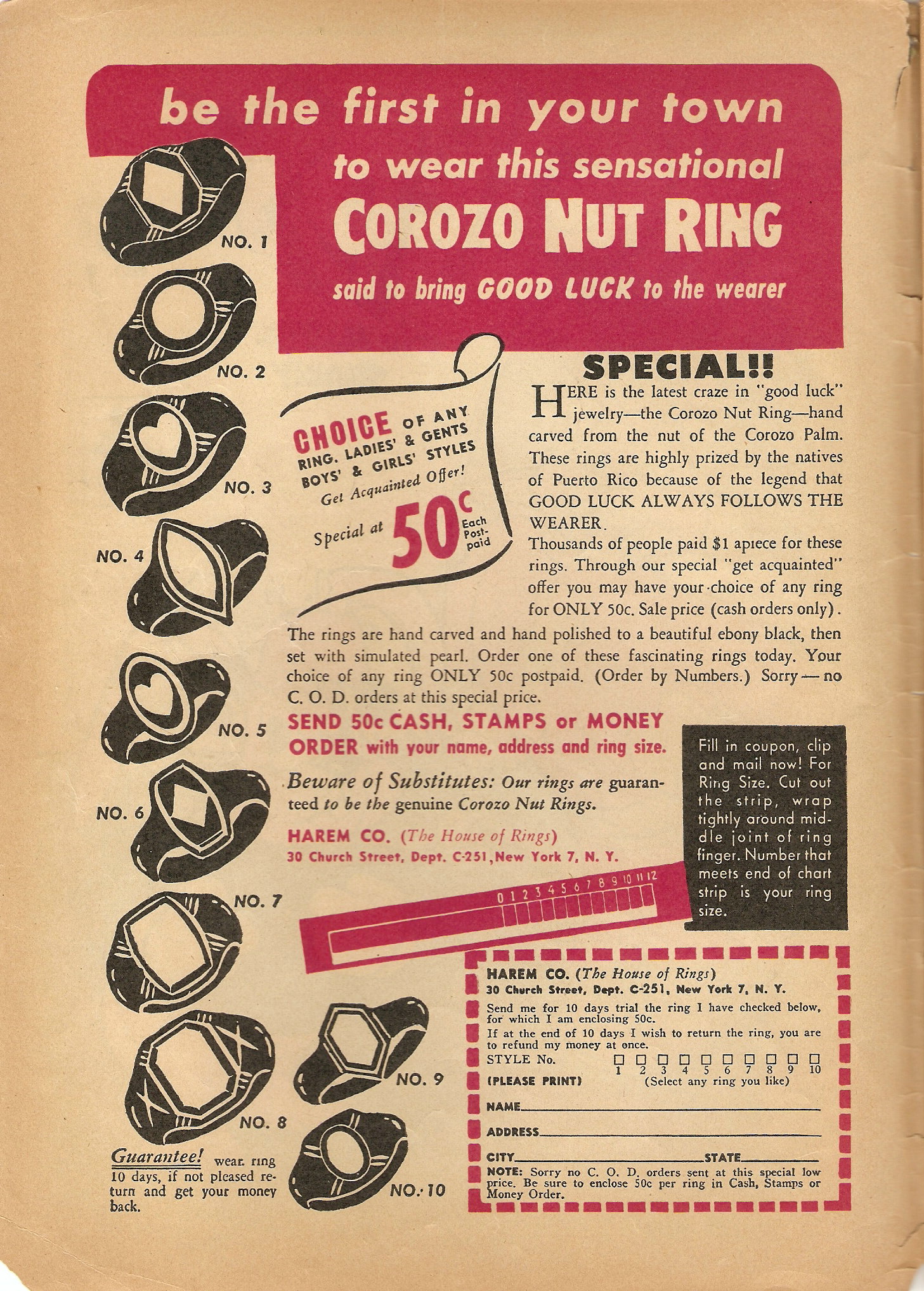 Read online Hoppy The Marvel Bunny comic -  Issue #9 - 2