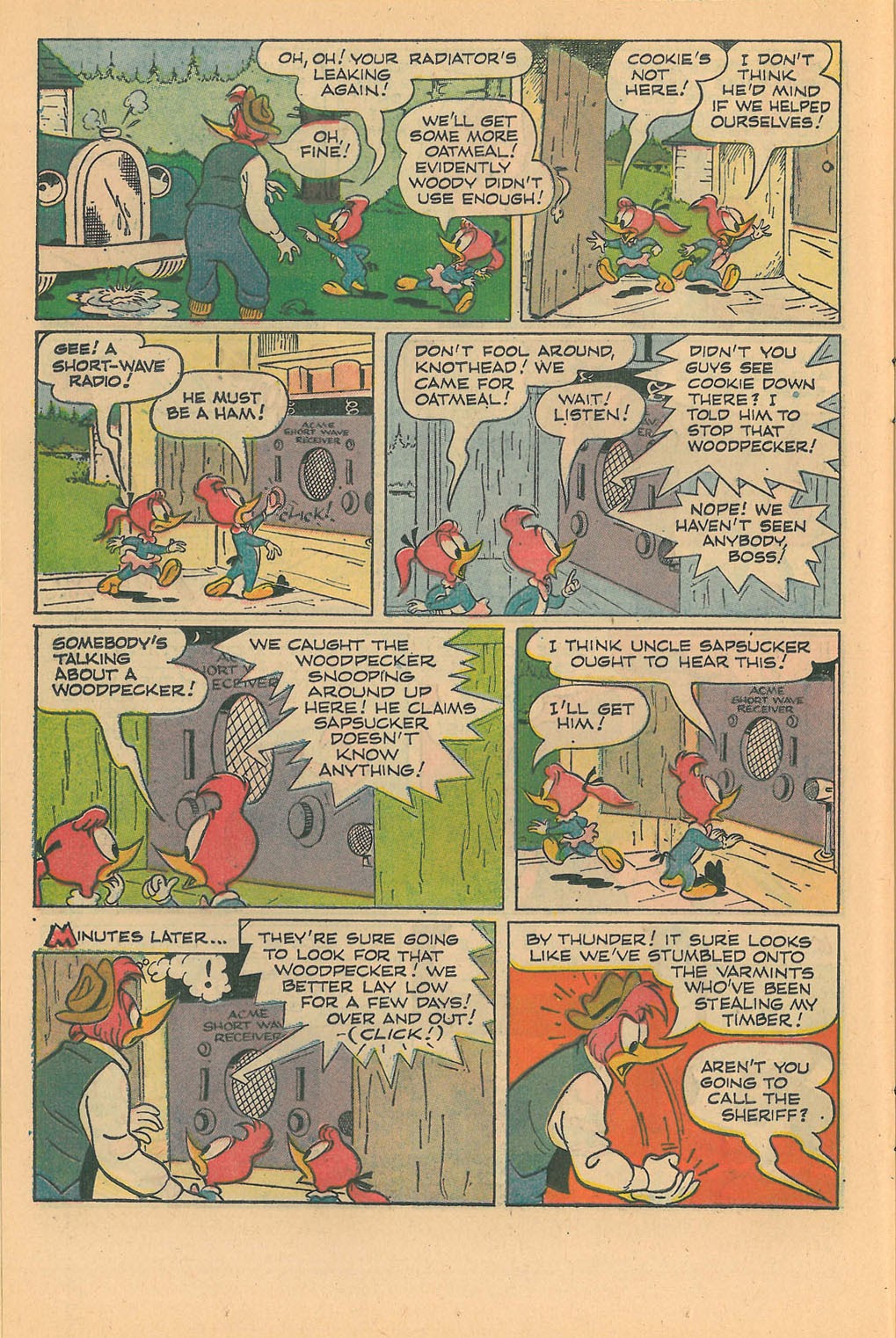 Read online Walter Lantz Woody Woodpecker (1962) comic -  Issue #109 - 14