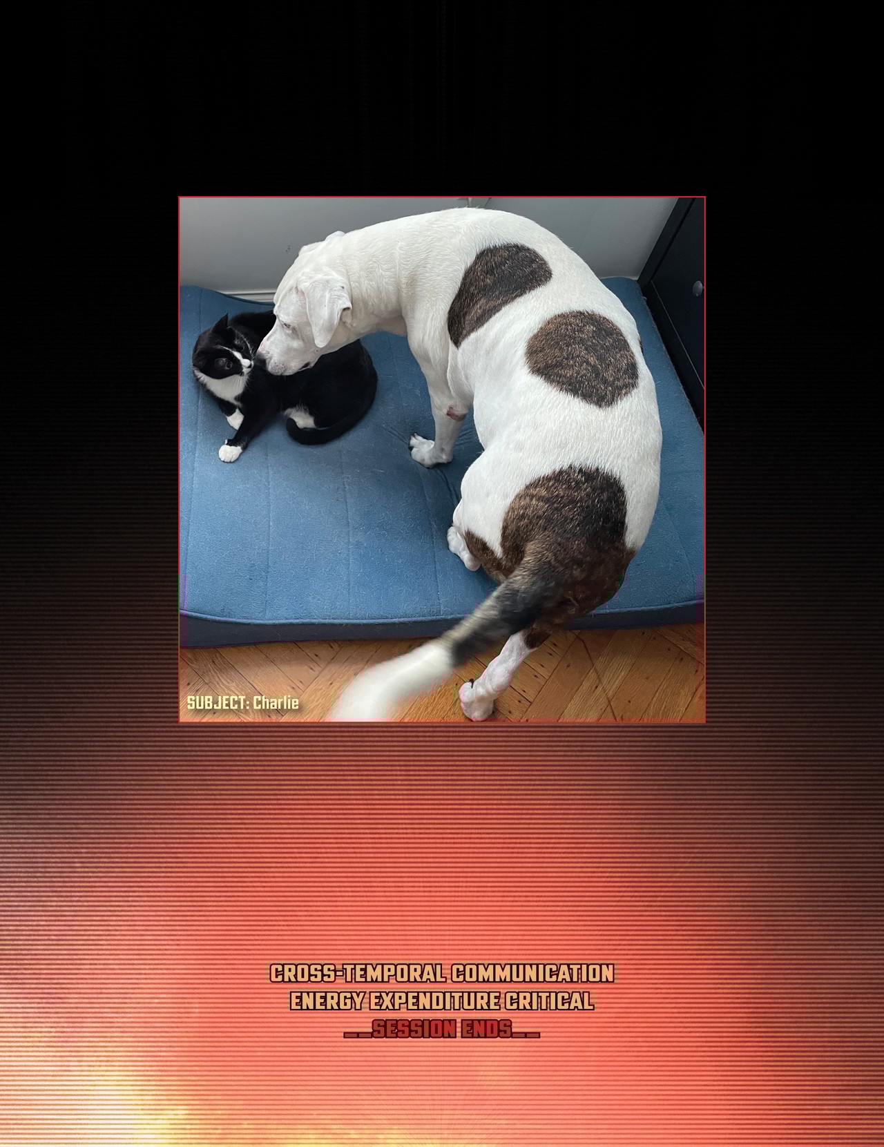 Read online The Forged comic -  Issue #6 - 54