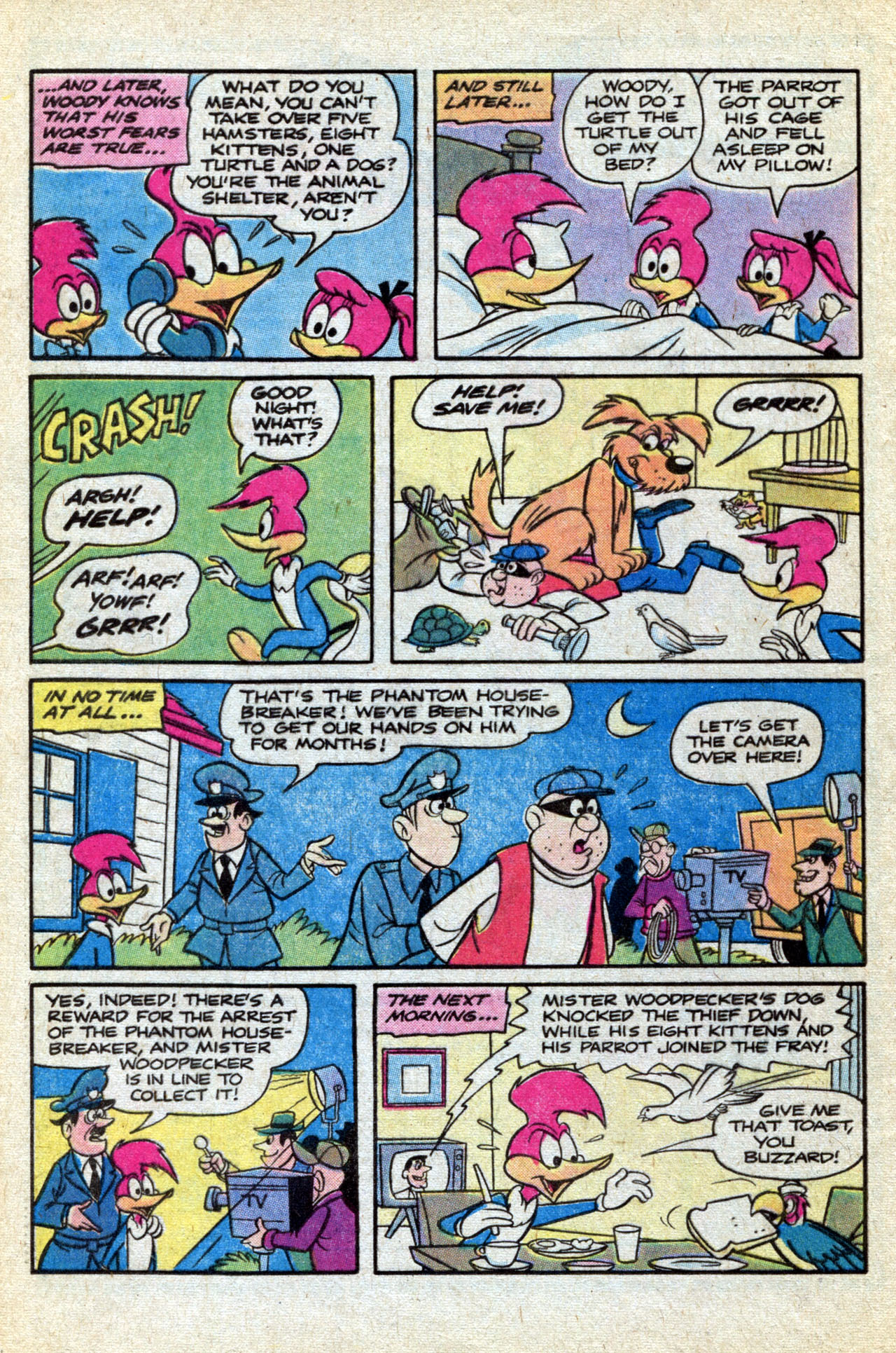 Read online Walter Lantz Woody Woodpecker (1962) comic -  Issue #170 - 20