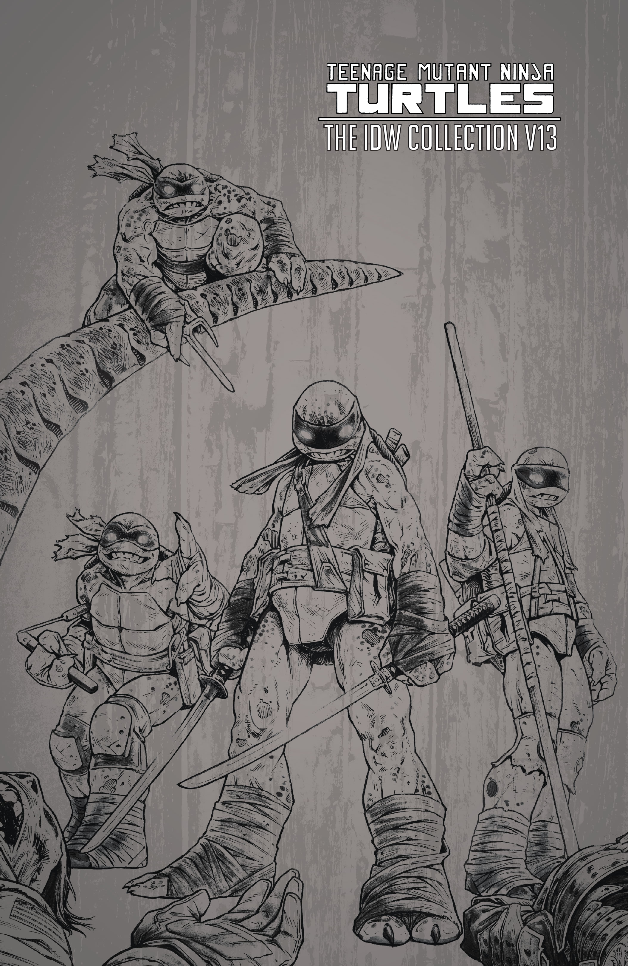 Read online Teenage Mutant Ninja Turtles: The IDW Collection comic -  Issue # TPB 13 (Part 1) - 3