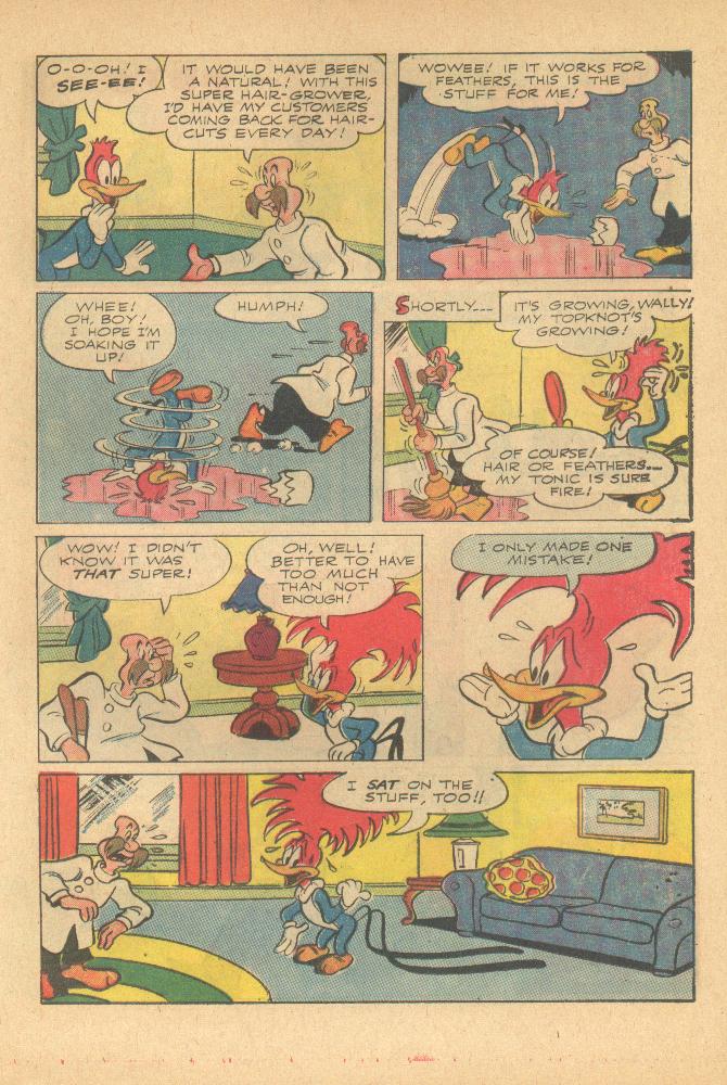Read online Walter Lantz Woody Woodpecker (1962) comic -  Issue #94 - 17