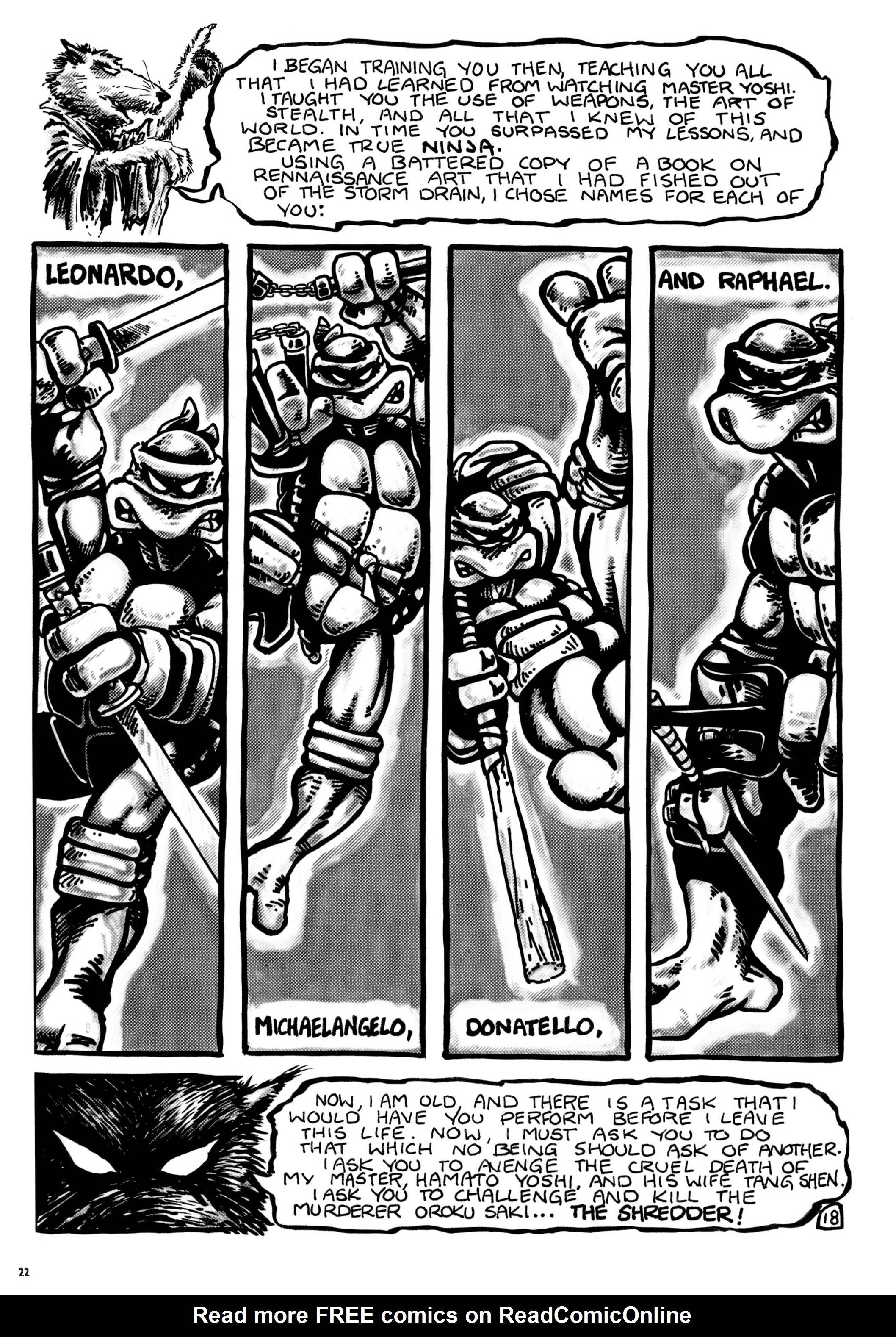 Read online Teenage Mutant Ninja Turtles: The Ultimate Collection comic -  Issue # TPB 1 (Part 1) - 22