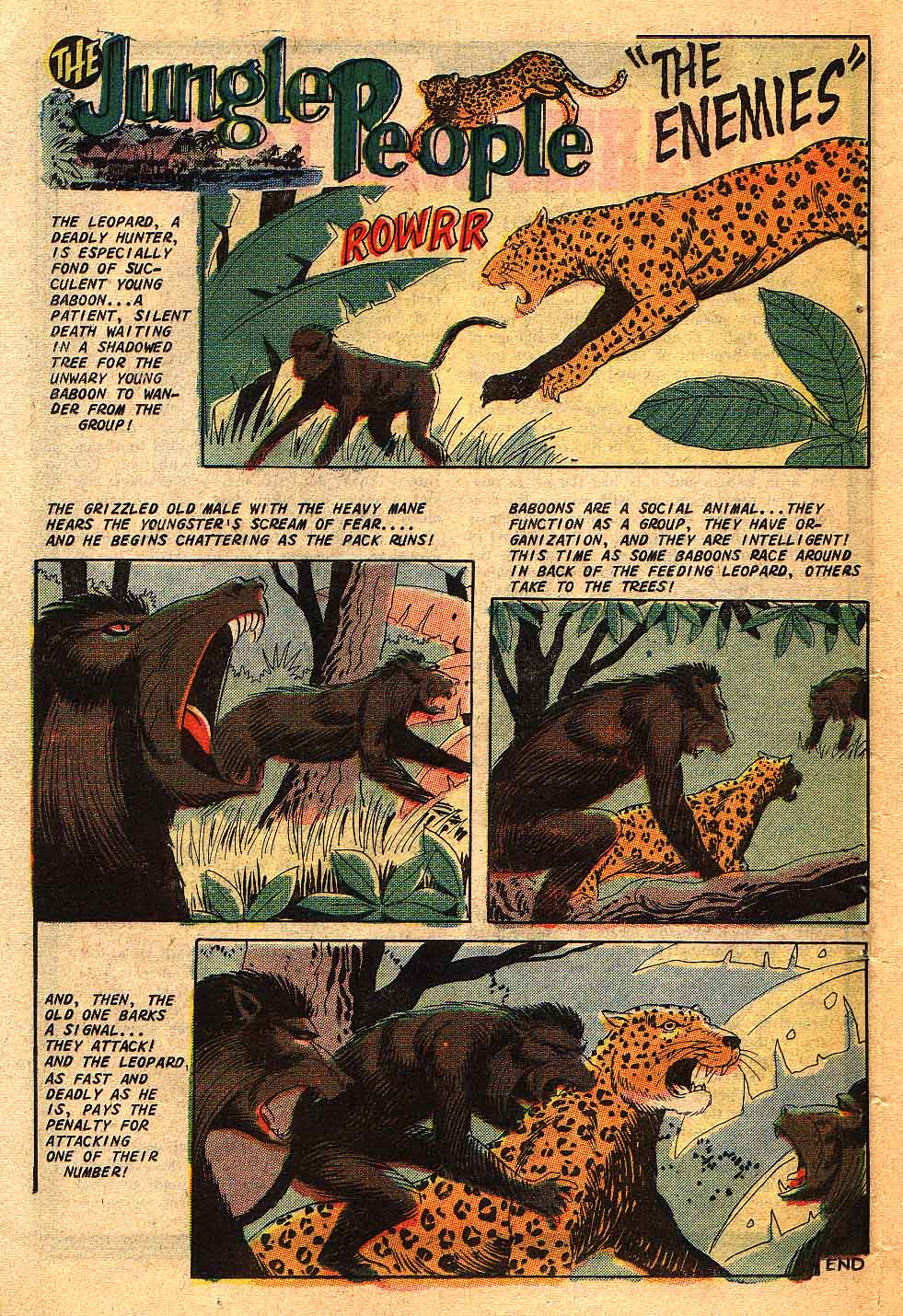 Read online Jungle Jim (1969) comic -  Issue #27 - 26