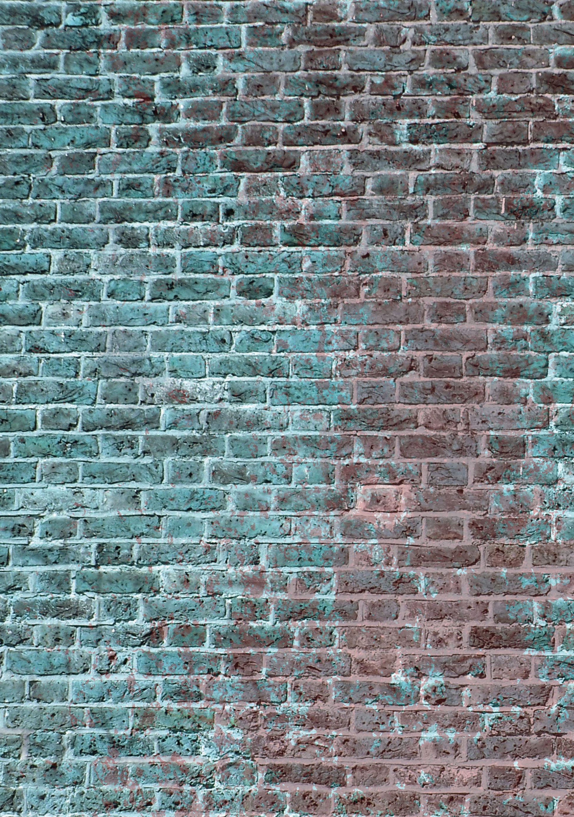 Read online The Bad Bad Place comic -  Issue # TPB - 2