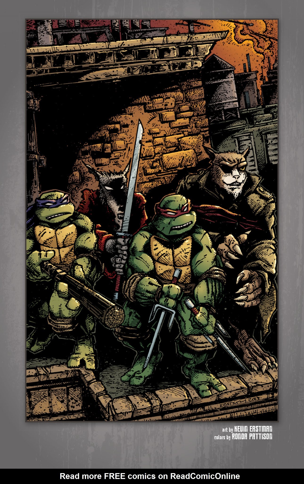 Read online Teenage Mutant Ninja Turtles: The IDW Collection comic -  Issue # TPB 3 (Part 2) - 83