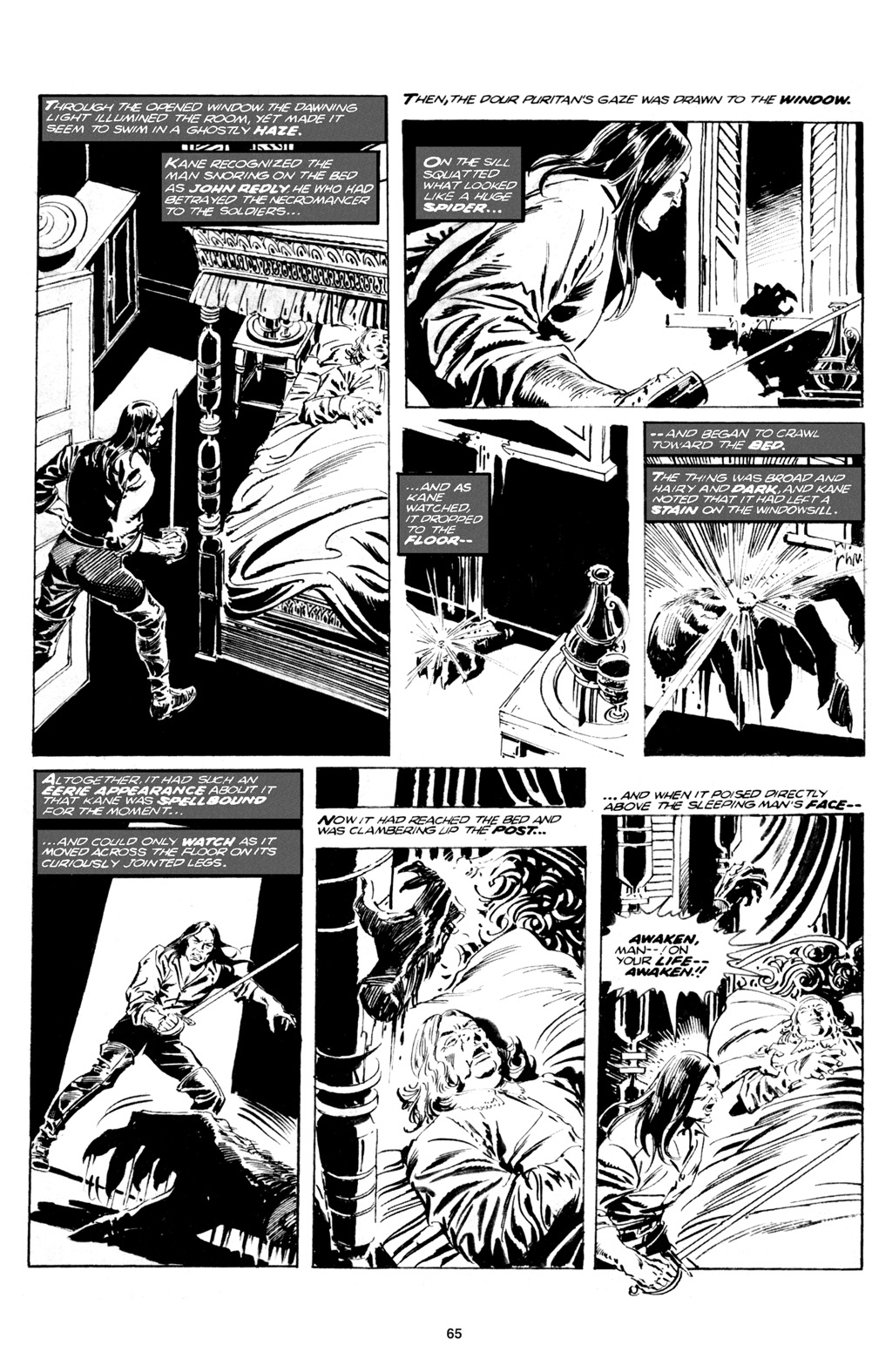 Read online The Saga of Solomon Kane comic -  Issue # TPB - 65