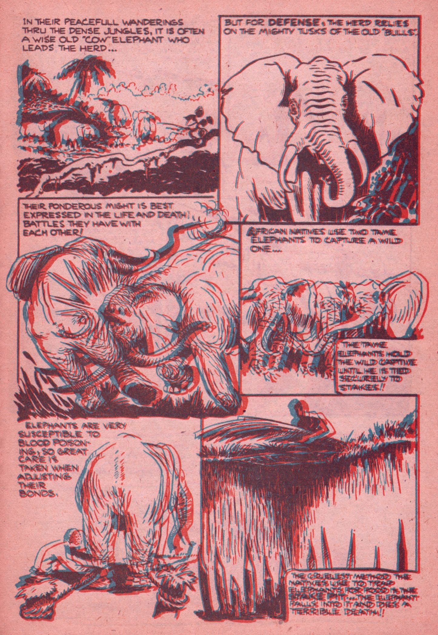 Read online Jungle Thrills 3-D comic -  Issue # Full - 23