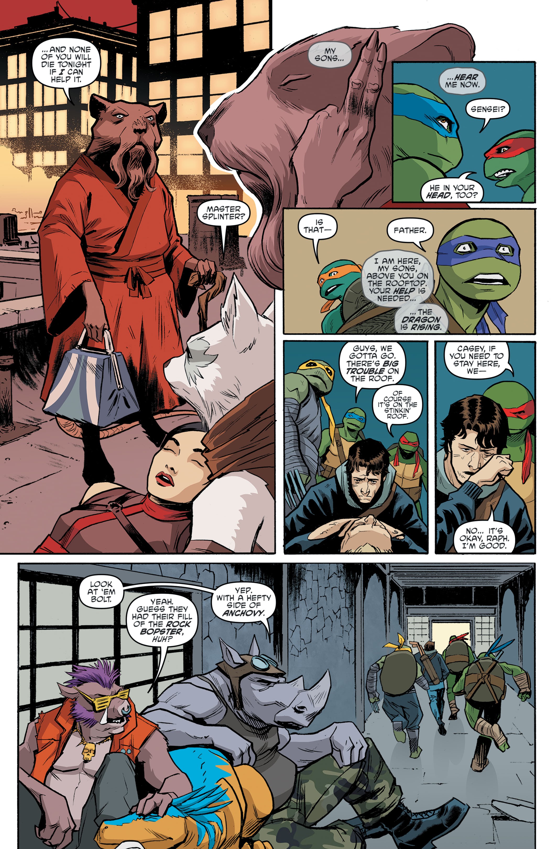 Read online Teenage Mutant Ninja Turtles: The IDW Collection comic -  Issue # TPB 13 (Part 5) - 26