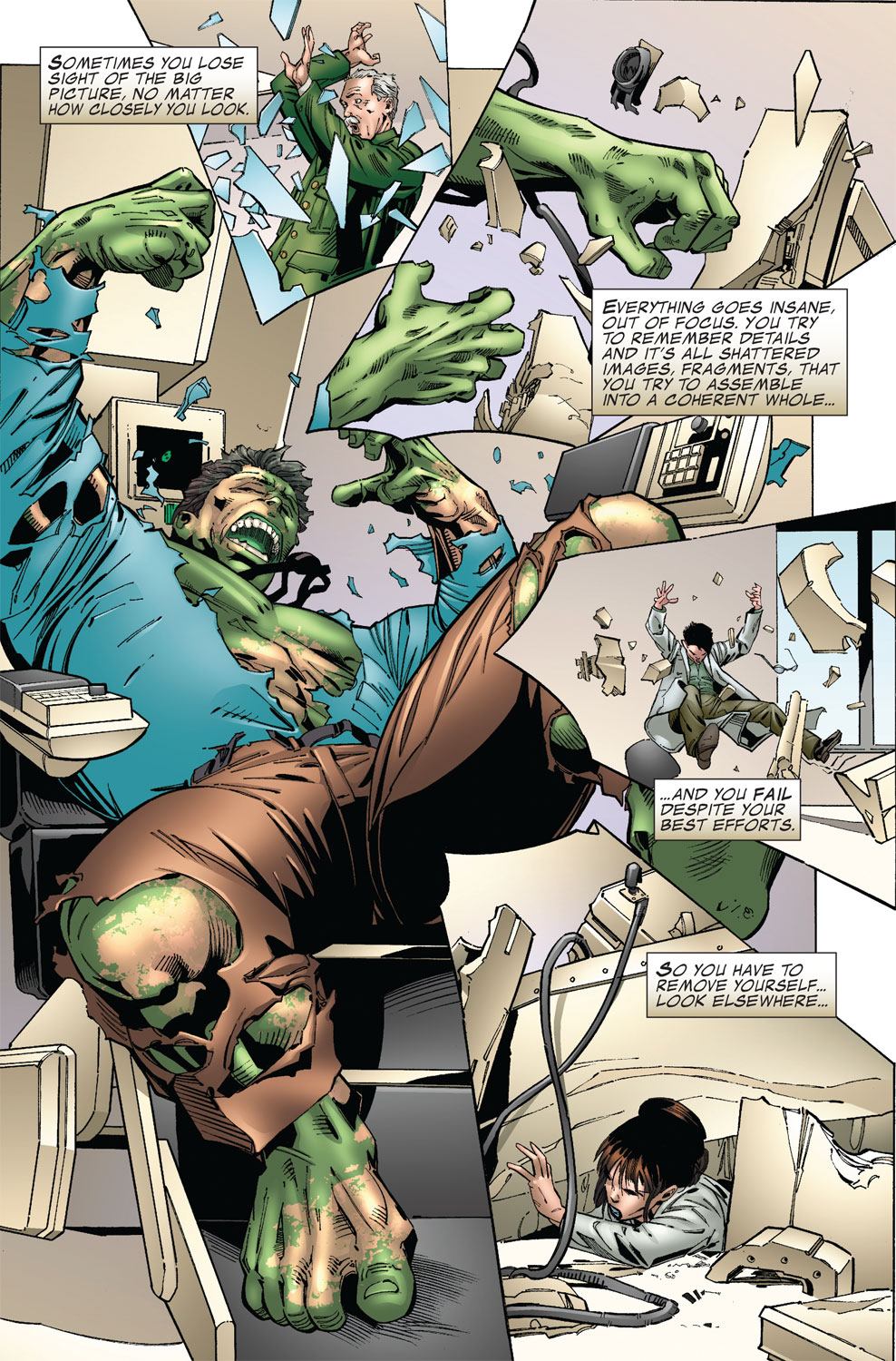 Read online The Incredible Hulk: The Big Picture comic -  Issue # Full - 5