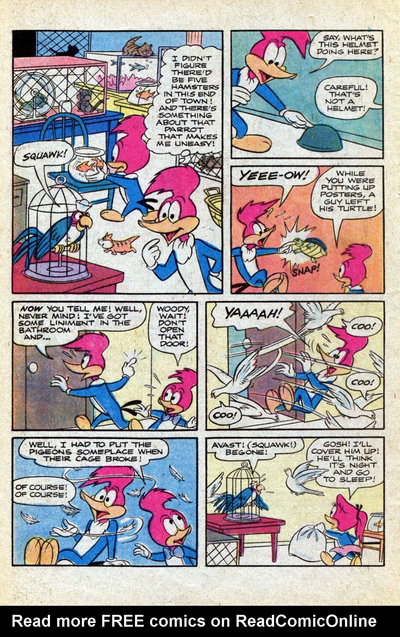 Read online Walter Lantz Woody Woodpecker (1962) comic -  Issue #170 - 16