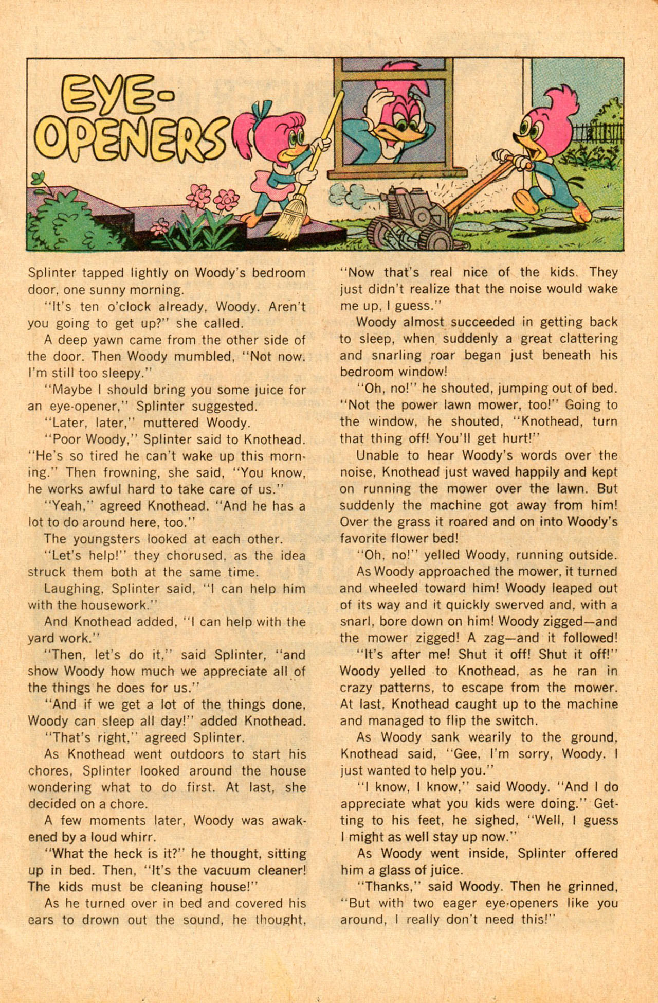 Read online Walter Lantz Woody Woodpecker (1962) comic -  Issue #139 - 17