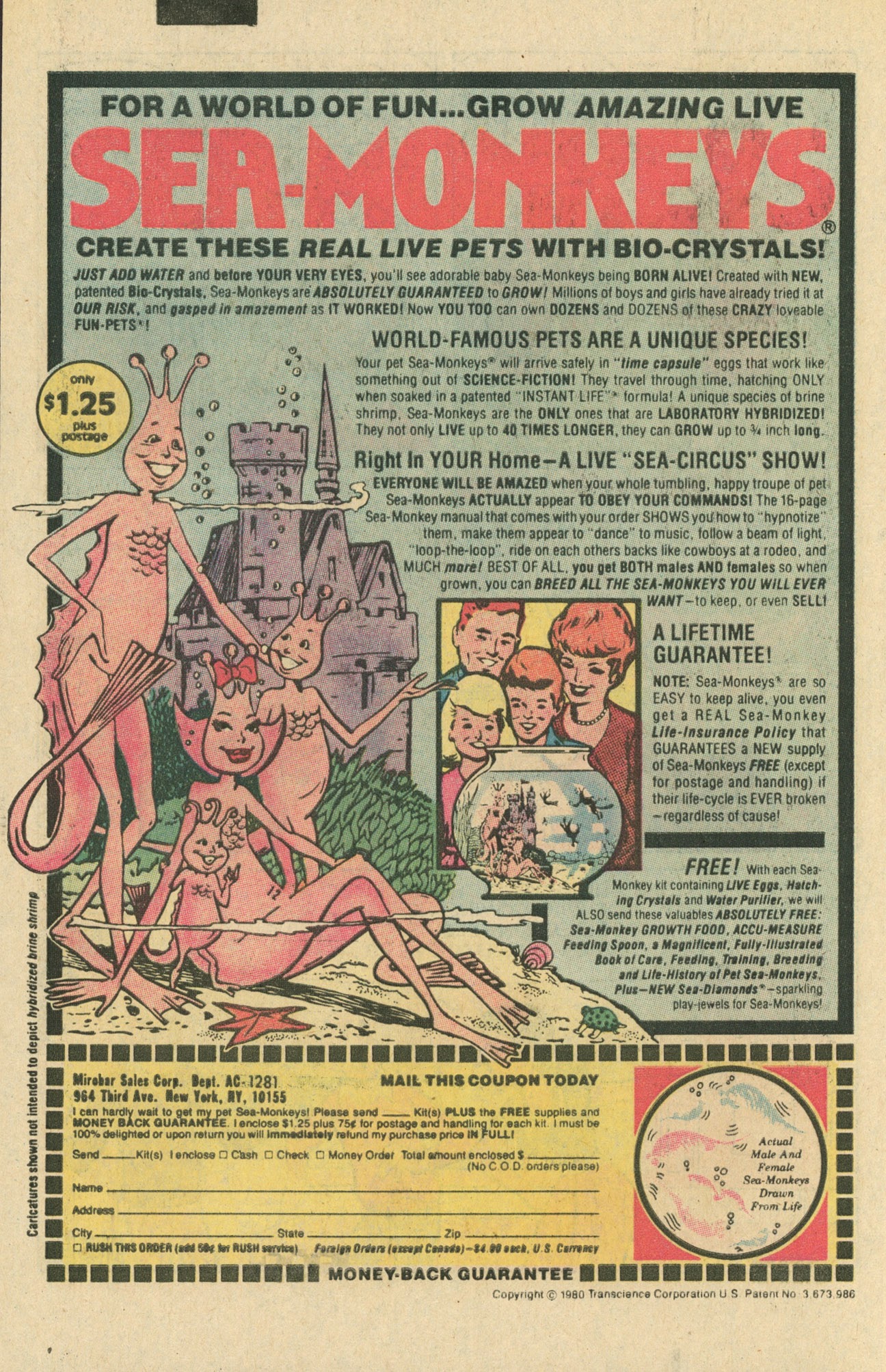 Read online Laugh (Comics) comic -  Issue #370 - 34