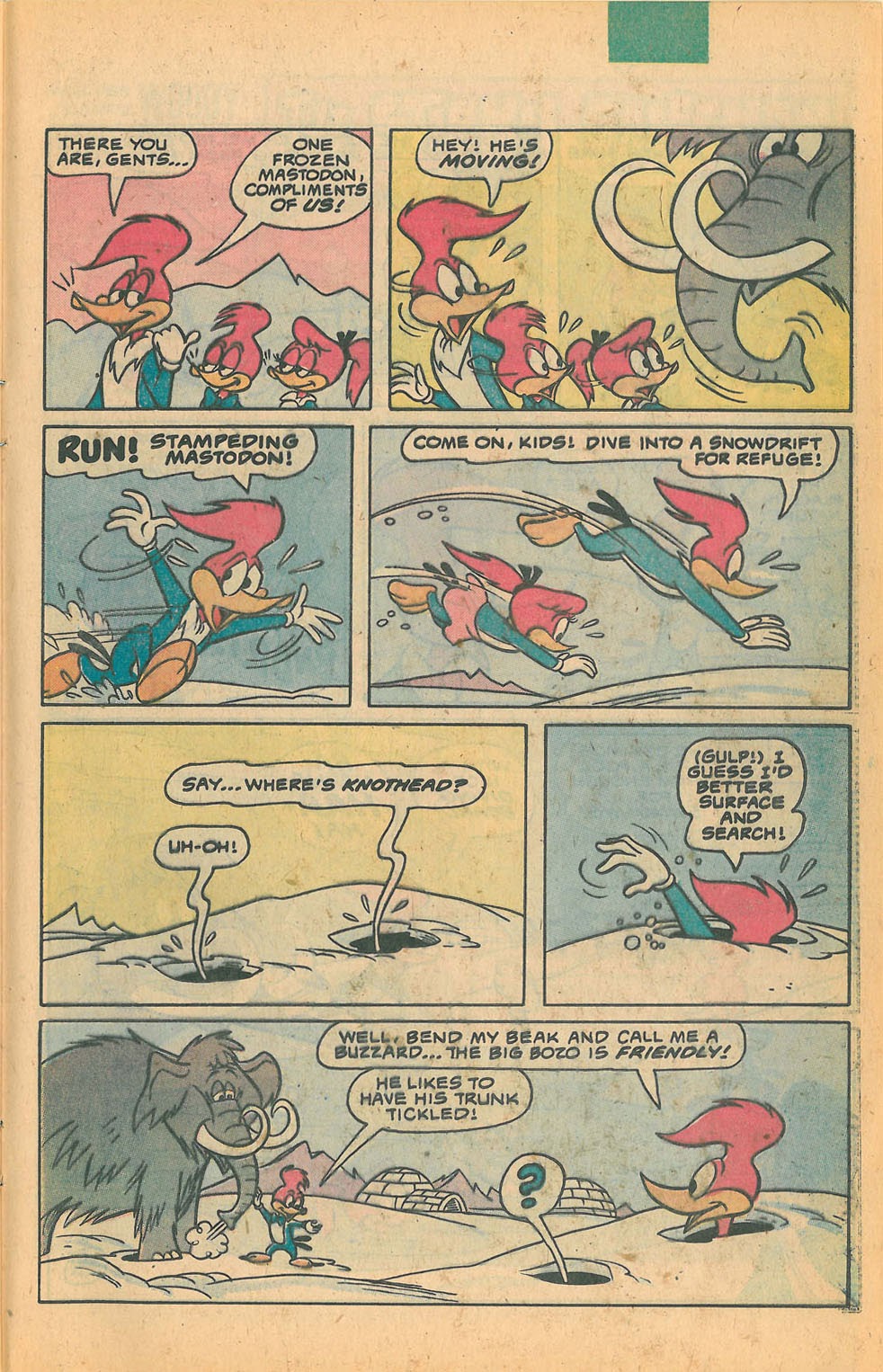 Read online Walter Lantz Woody Woodpecker (1962) comic -  Issue #183 - 25