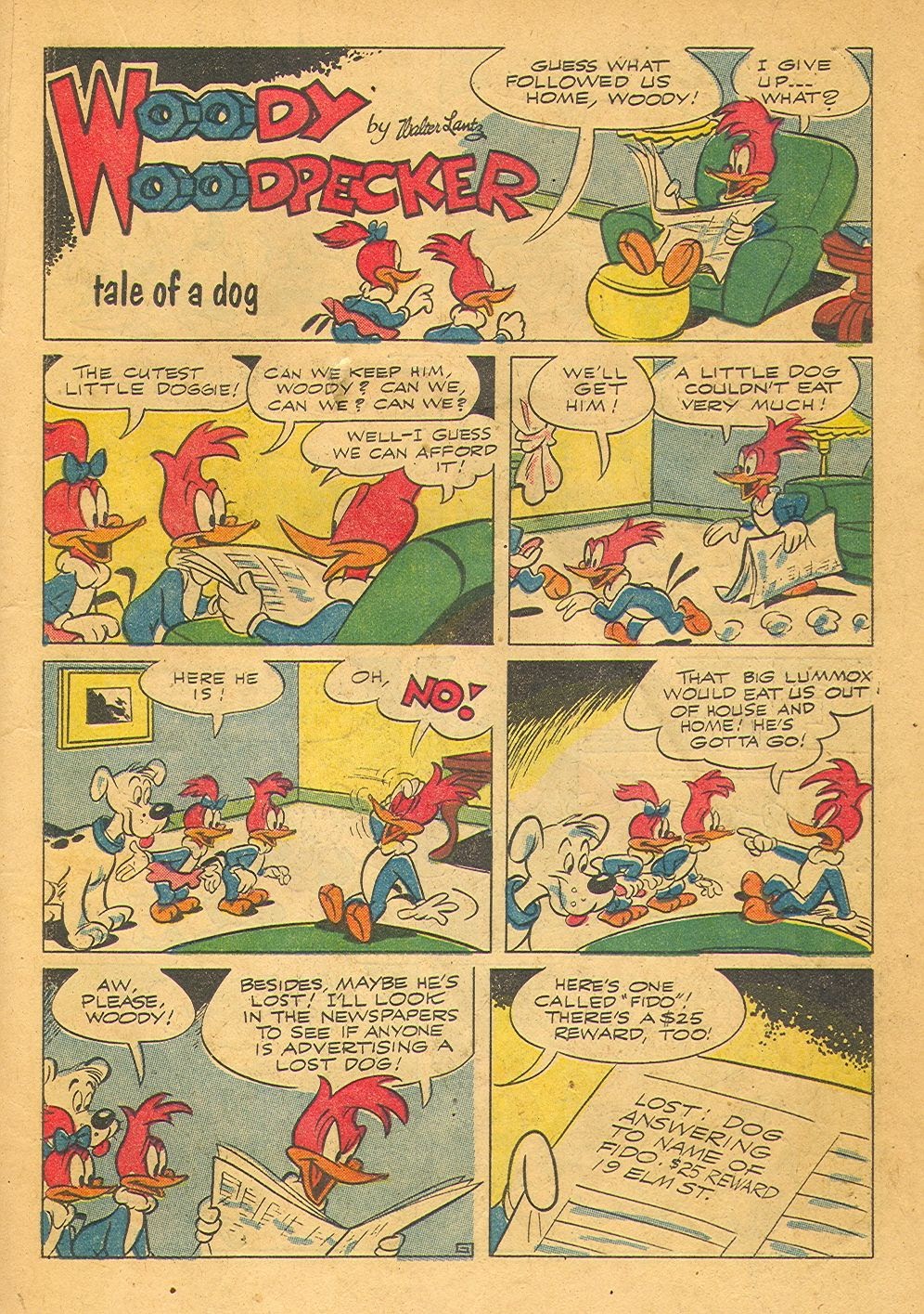 Read online Walter Lantz Woody Woodpecker (1952) comic -  Issue #28 - 19