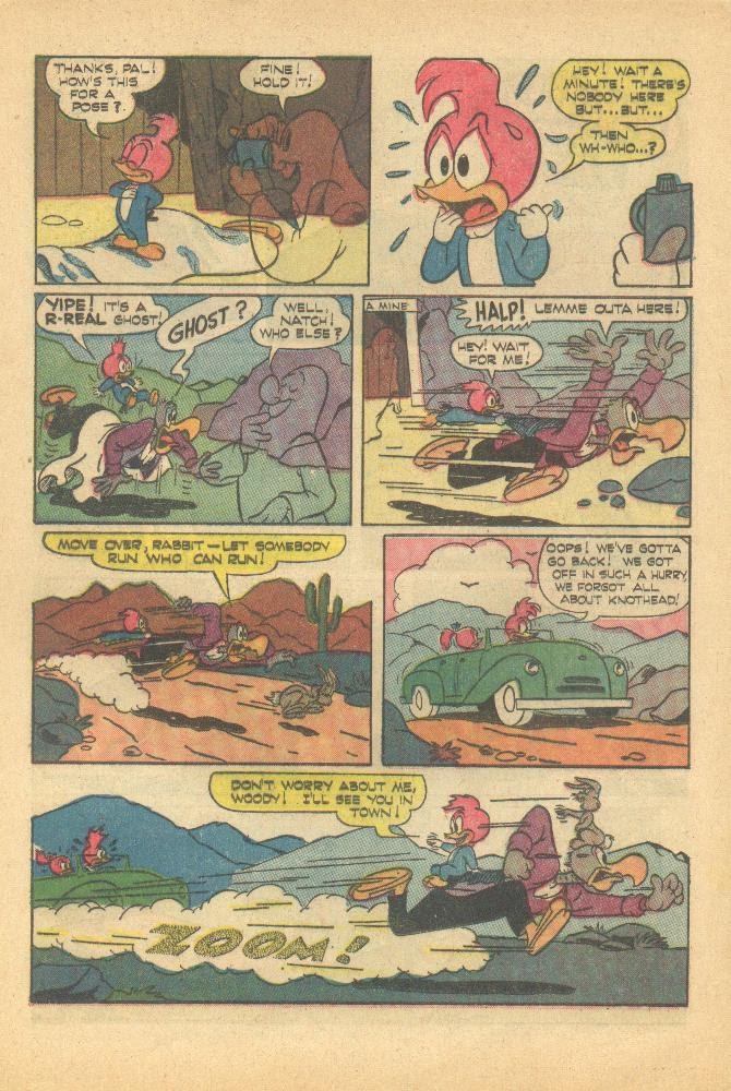 Read online Walter Lantz Woody Woodpecker (1962) comic -  Issue #85 - 17