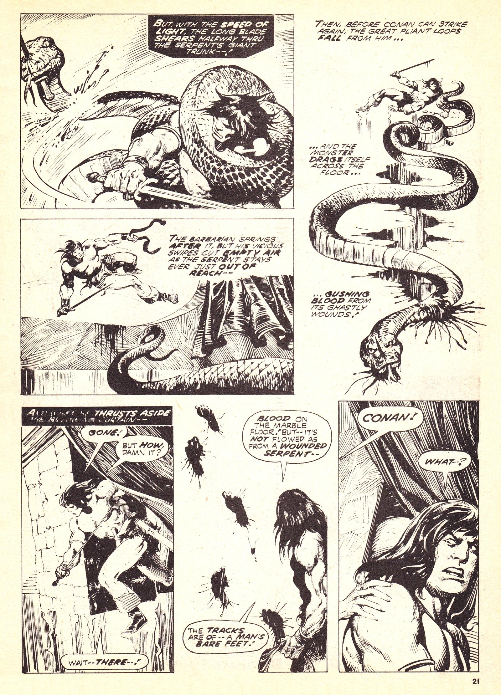 Read online The Savage Sword of Conan (1975) comic -  Issue #8 - 21