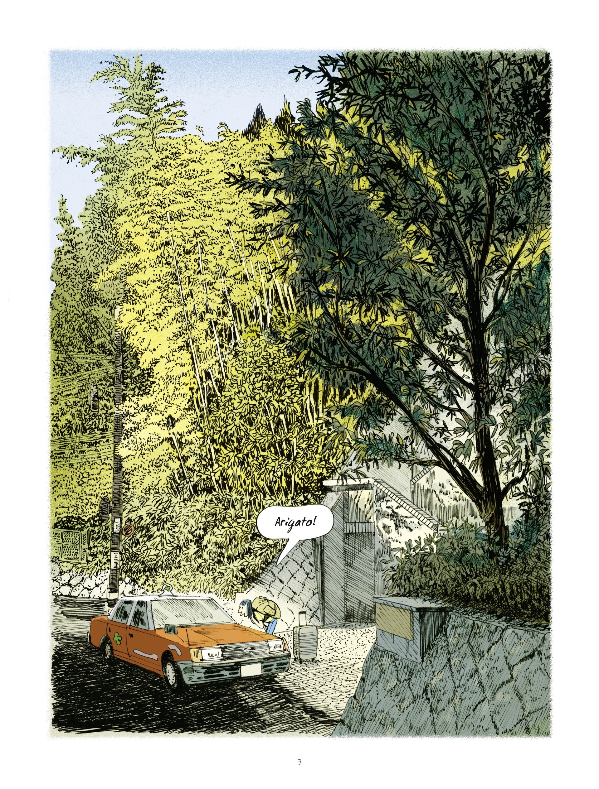 Read online The Young Woman and the Sea comic -  Issue # TPB - 3