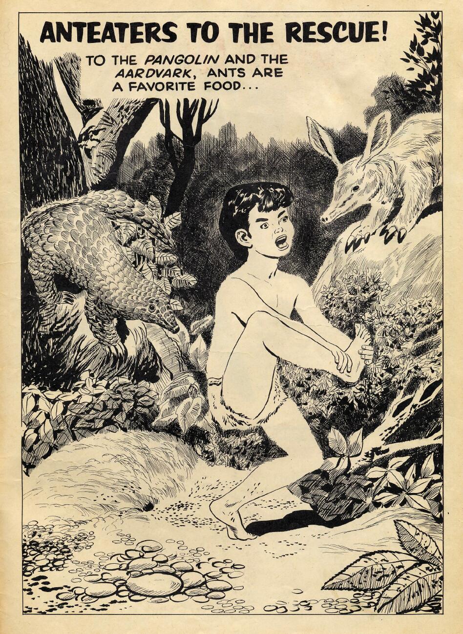 Read online Tarzan (1948) comic -  Issue #66 - 35