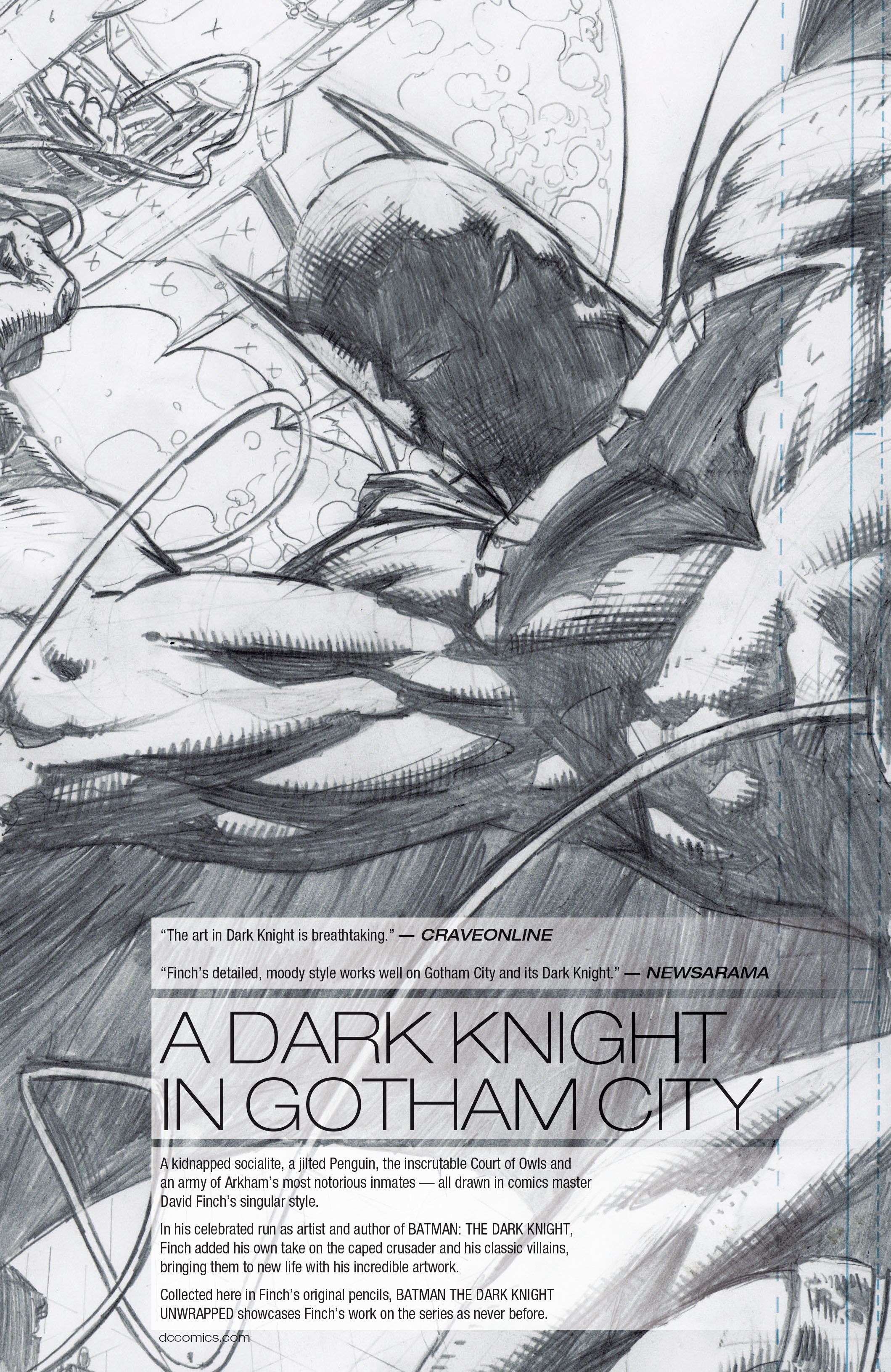 Read online Batman: The Dark Knight Unwrapped By David Finch Deluxe Edition comic -  Issue # TPB (Part 3) - 66