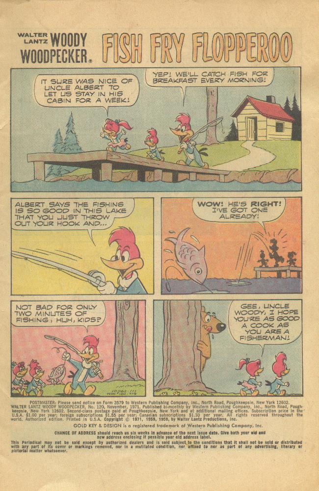 Read online Walter Lantz Woody Woodpecker (1962) comic -  Issue #120 - 2