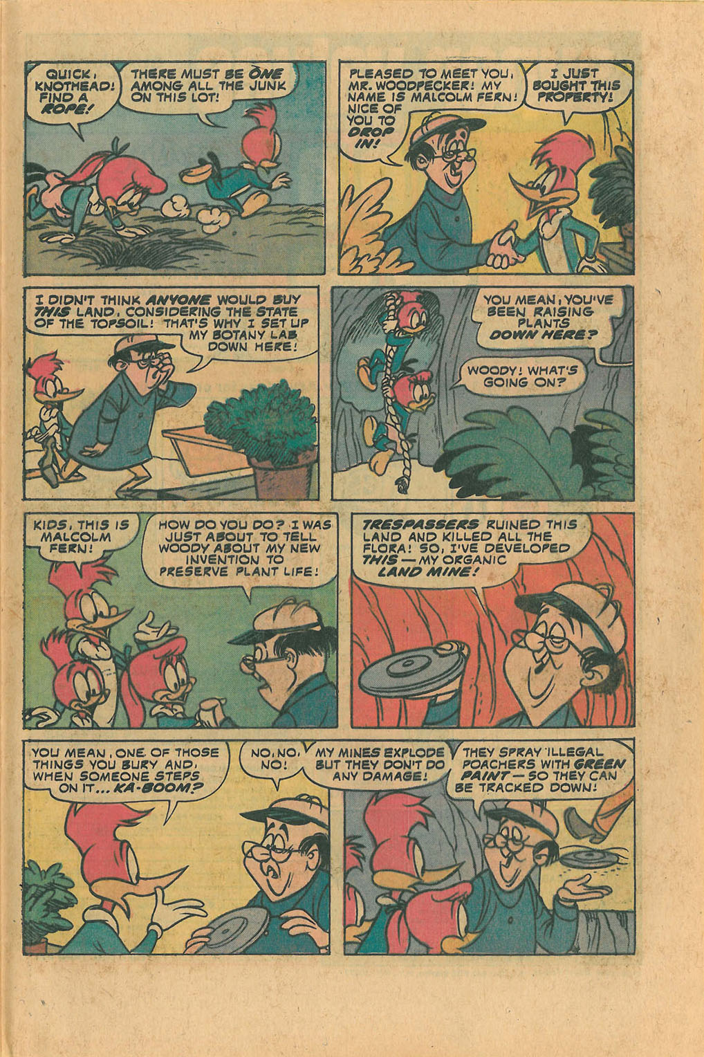 Read online Walter Lantz Woody Woodpecker (1962) comic -  Issue #140 - 29